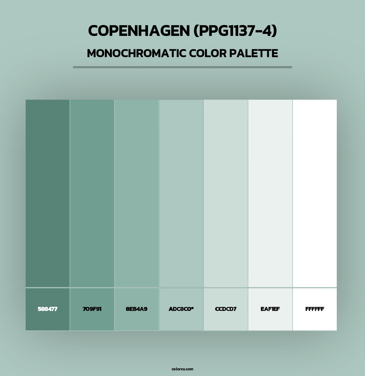 Copenhagen (PPG1137-4) - Monochromatic Color Palette