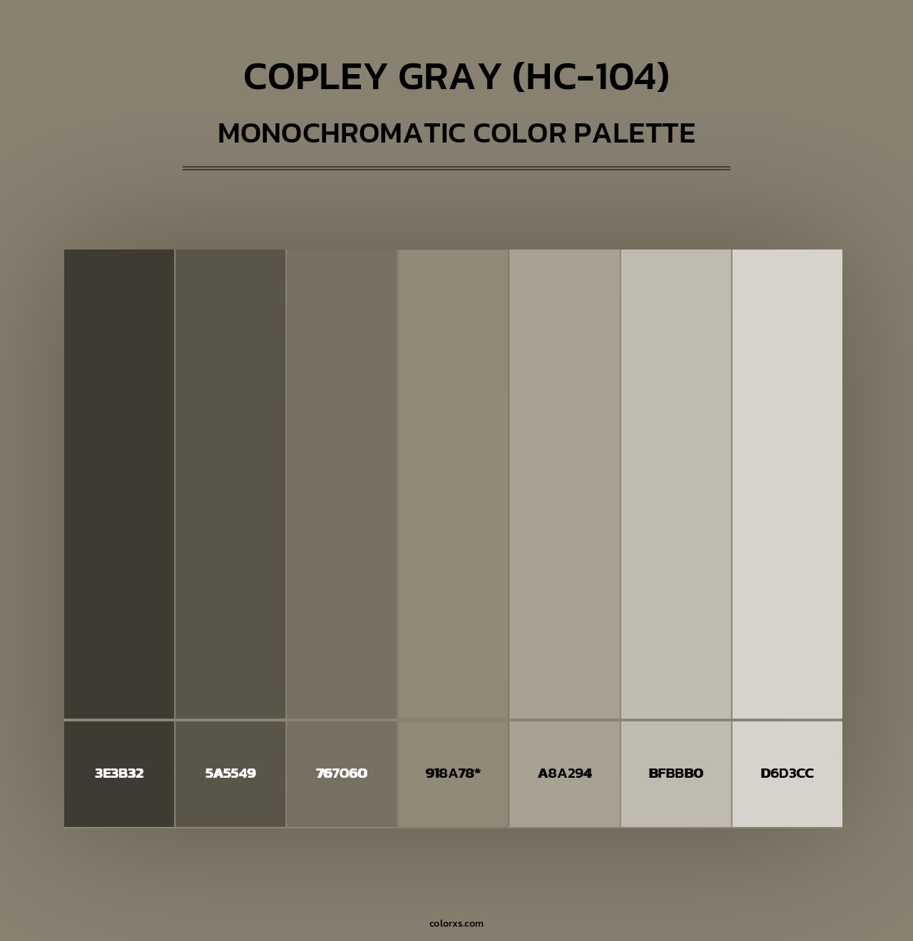 Copley Gray (HC-104) - Monochromatic Color Palette