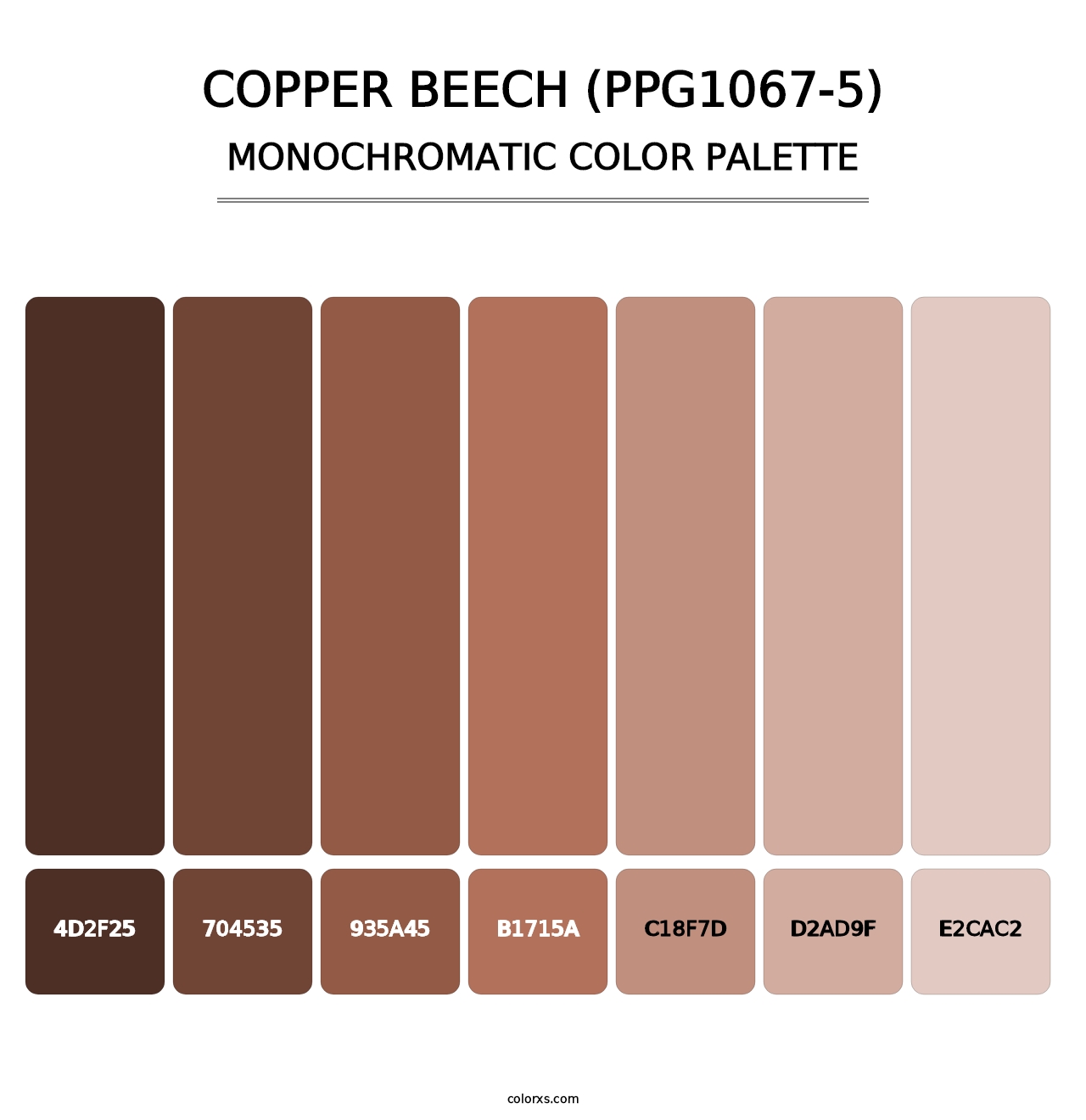 Copper Beech (PPG1067-5) - Monochromatic Color Palette