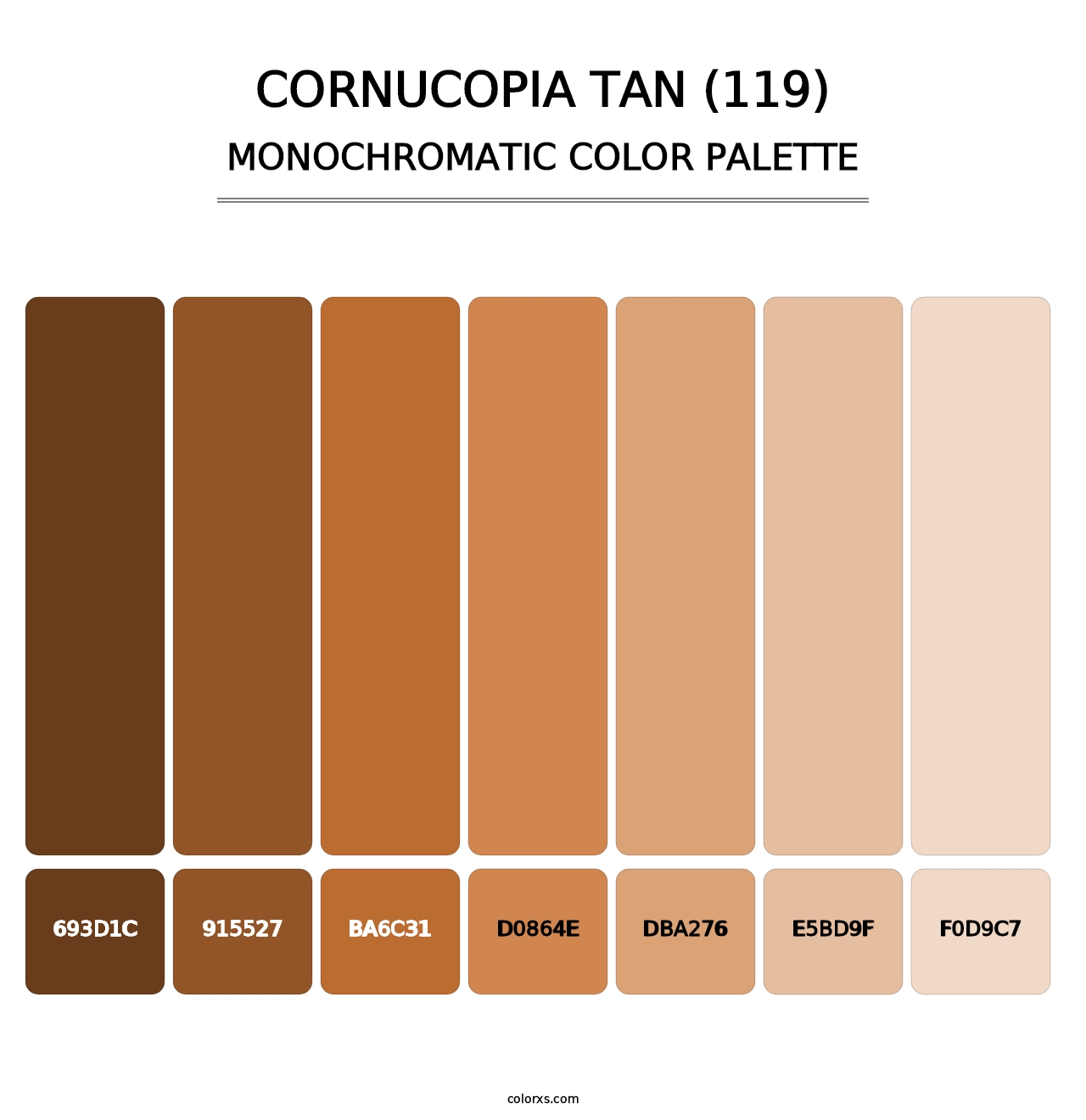 Cornucopia Tan (119) - Monochromatic Color Palette