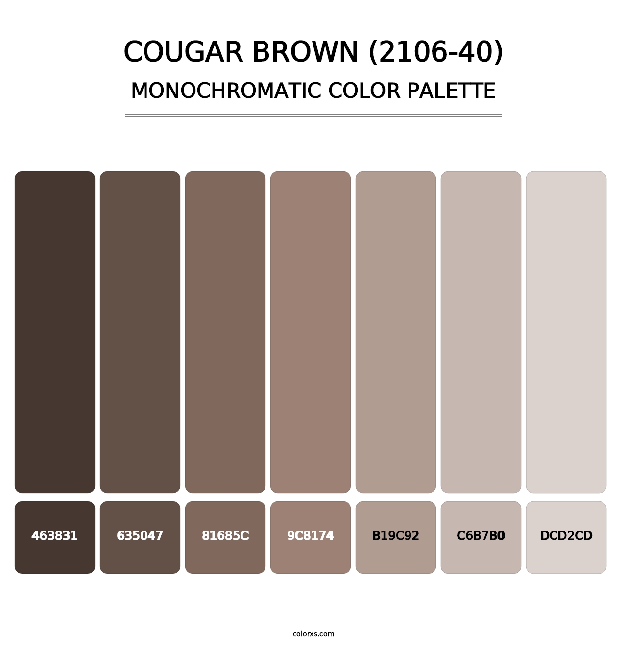Cougar Brown (2106-40) - Monochromatic Color Palette