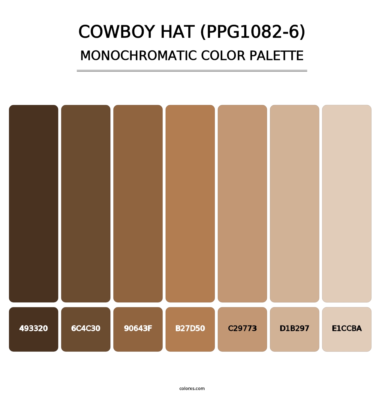 Cowboy Hat (PPG1082-6) - Monochromatic Color Palette