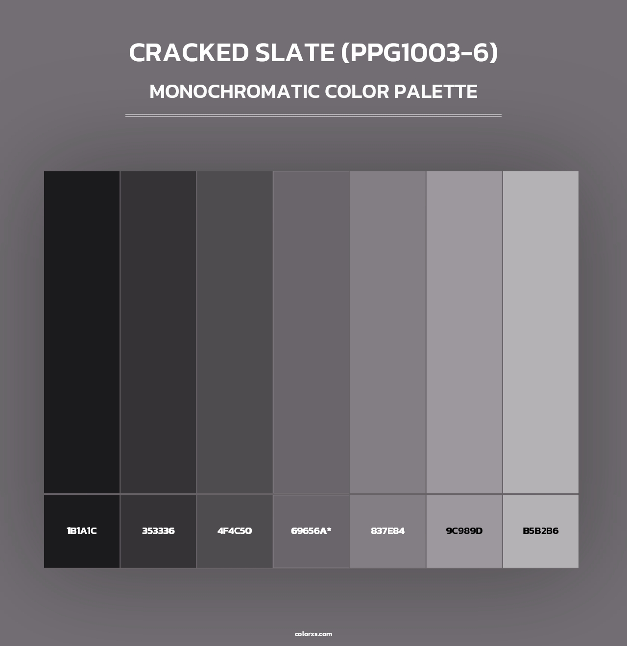 Cracked Slate (PPG1003-6) - Monochromatic Color Palette