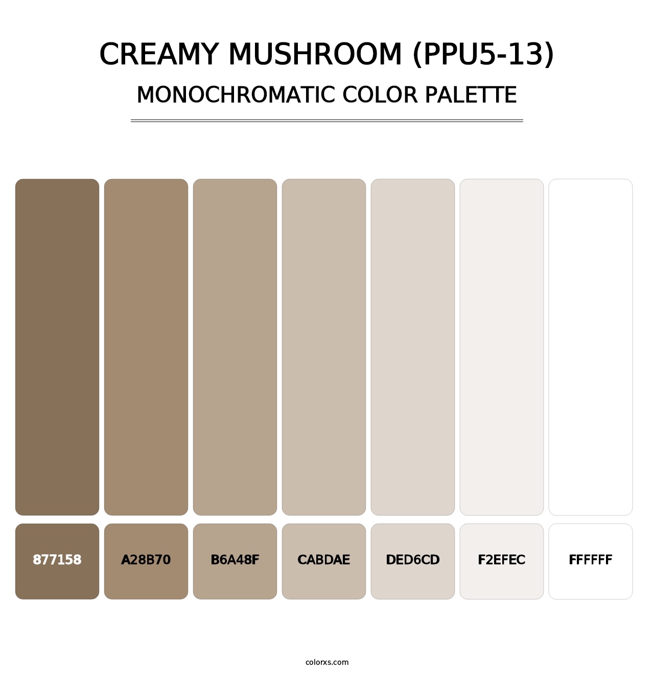 Creamy Mushroom (PPU5-13) - Monochromatic Color Palette