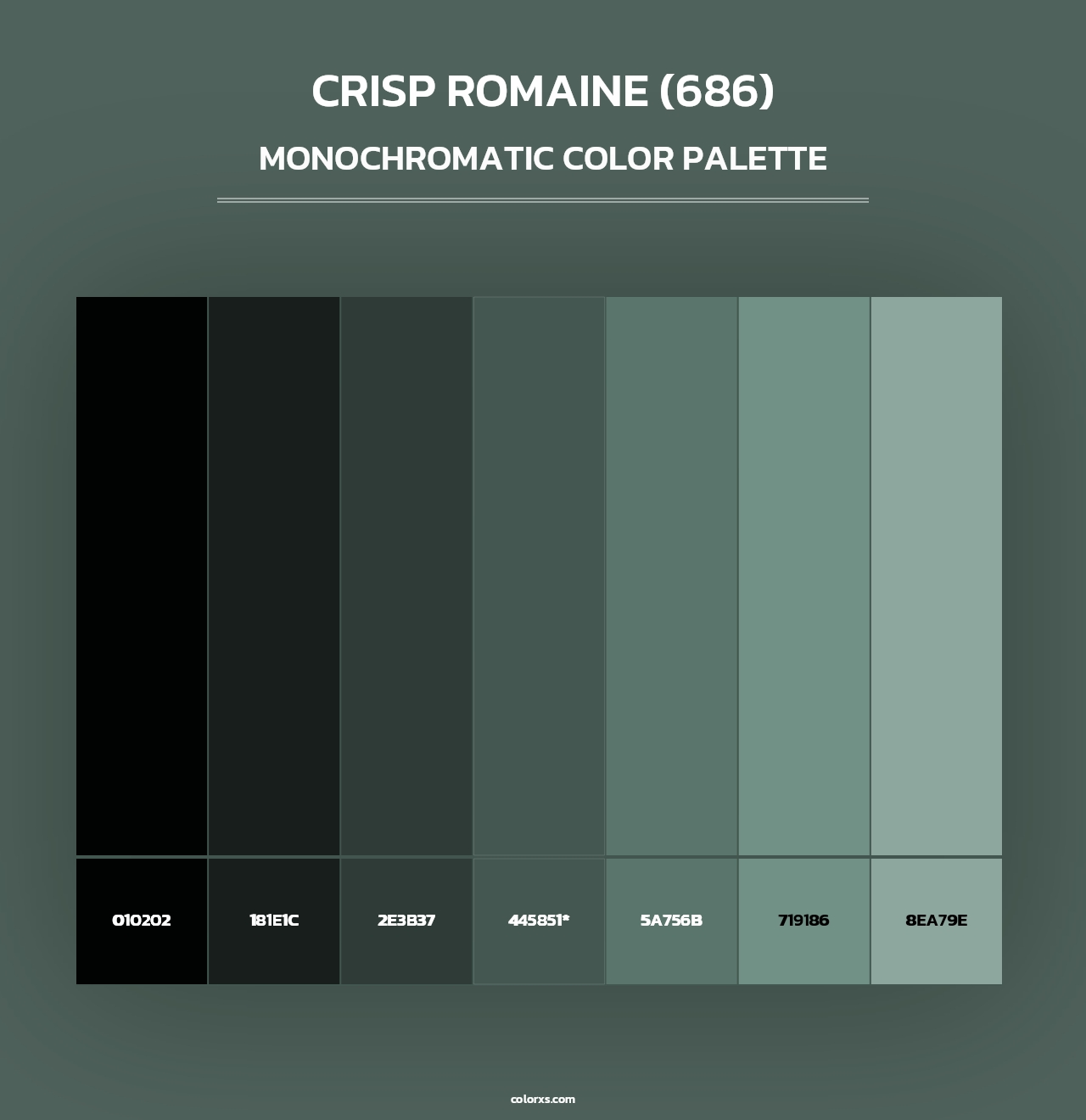 Crisp Romaine (686) - Monochromatic Color Palette