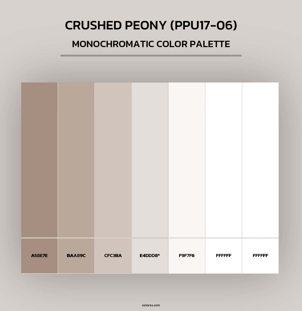 Crushed Peony (PPU17-06) - Monochromatic Color Palette