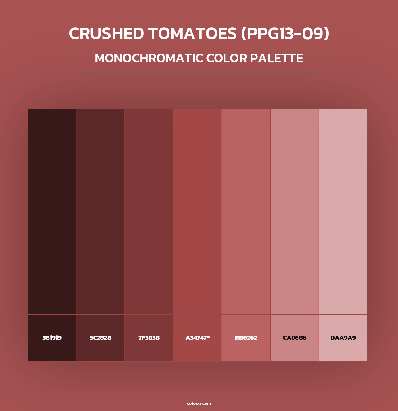Crushed Tomatoes (PPG13-09) - Monochromatic Color Palette