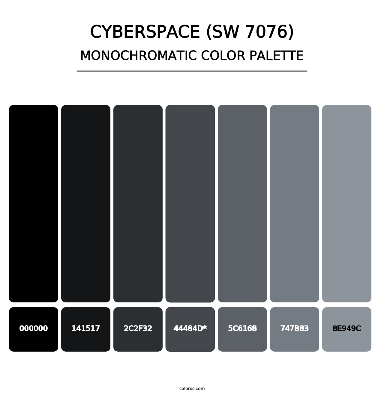 Cyberspace (SW 7076) - Monochromatic Color Palette