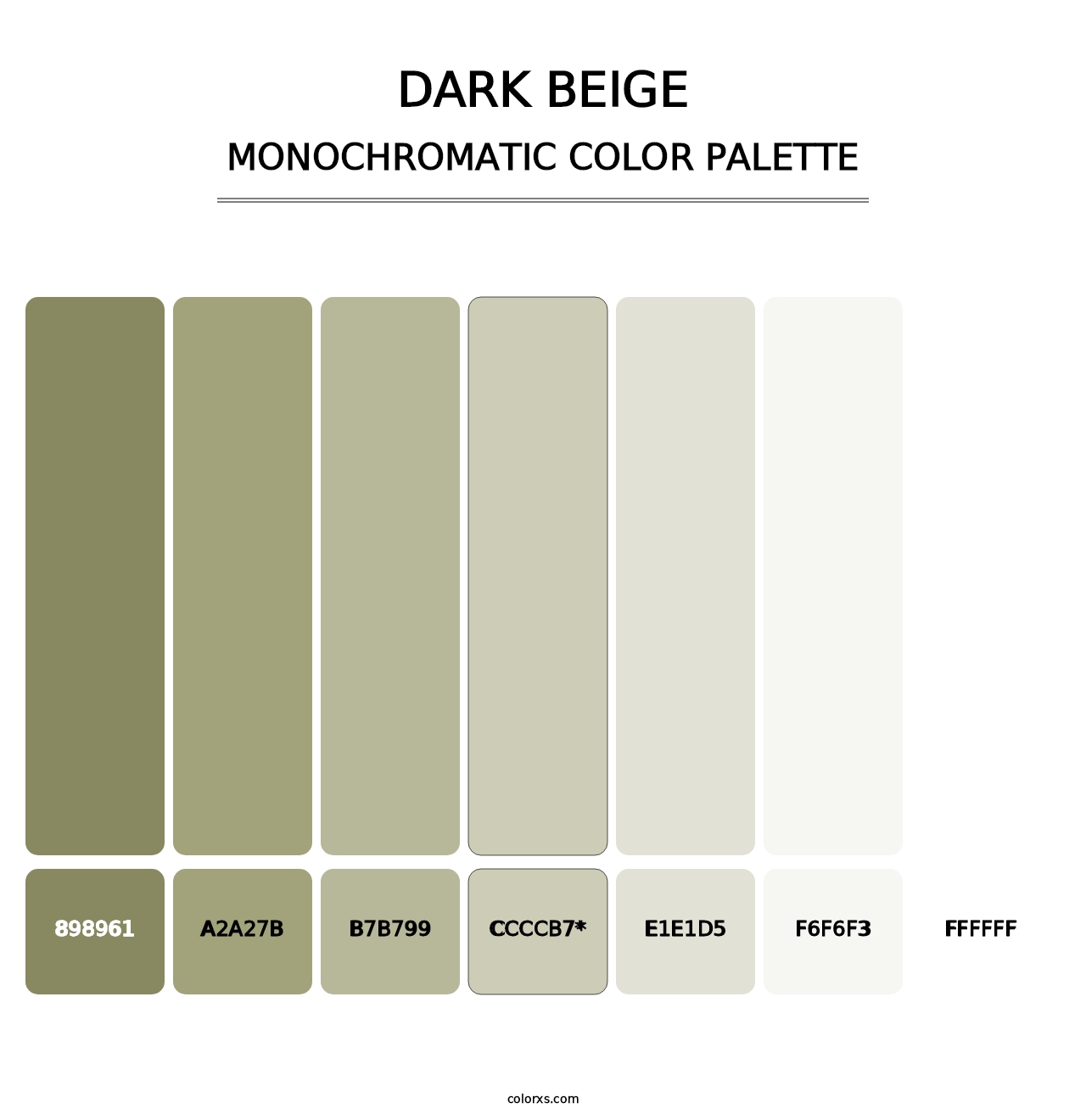 Dark Beige - Monochromatic Color Palette