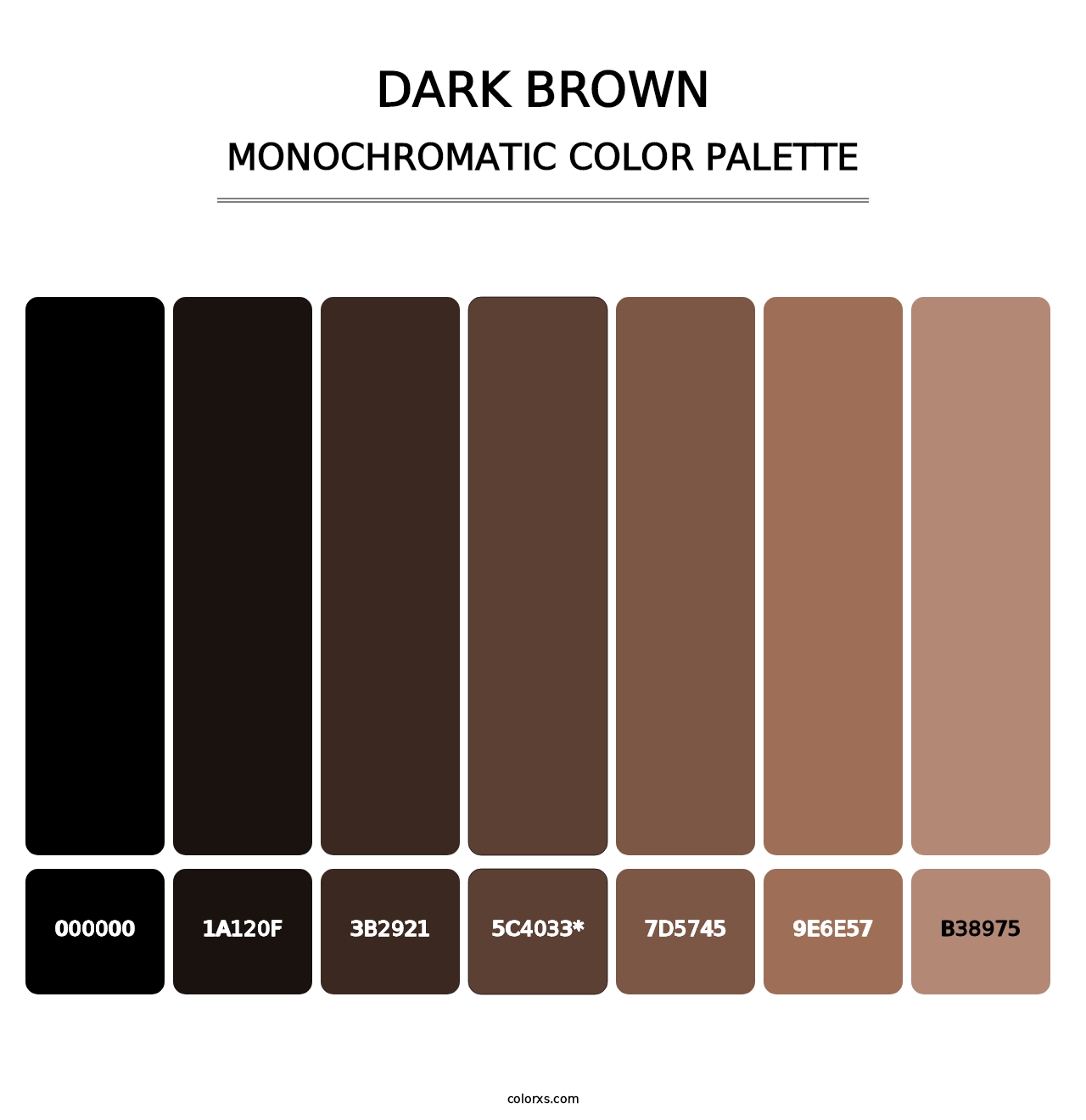 Dark Brown - Monochromatic Color Palette