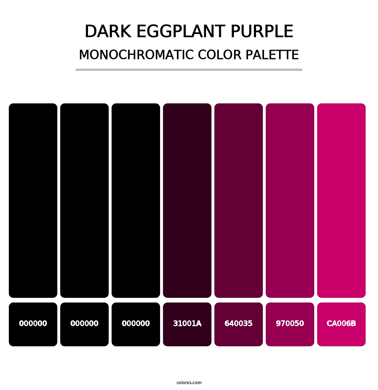 Dark Eggplant Purple - Monochromatic Color Palette