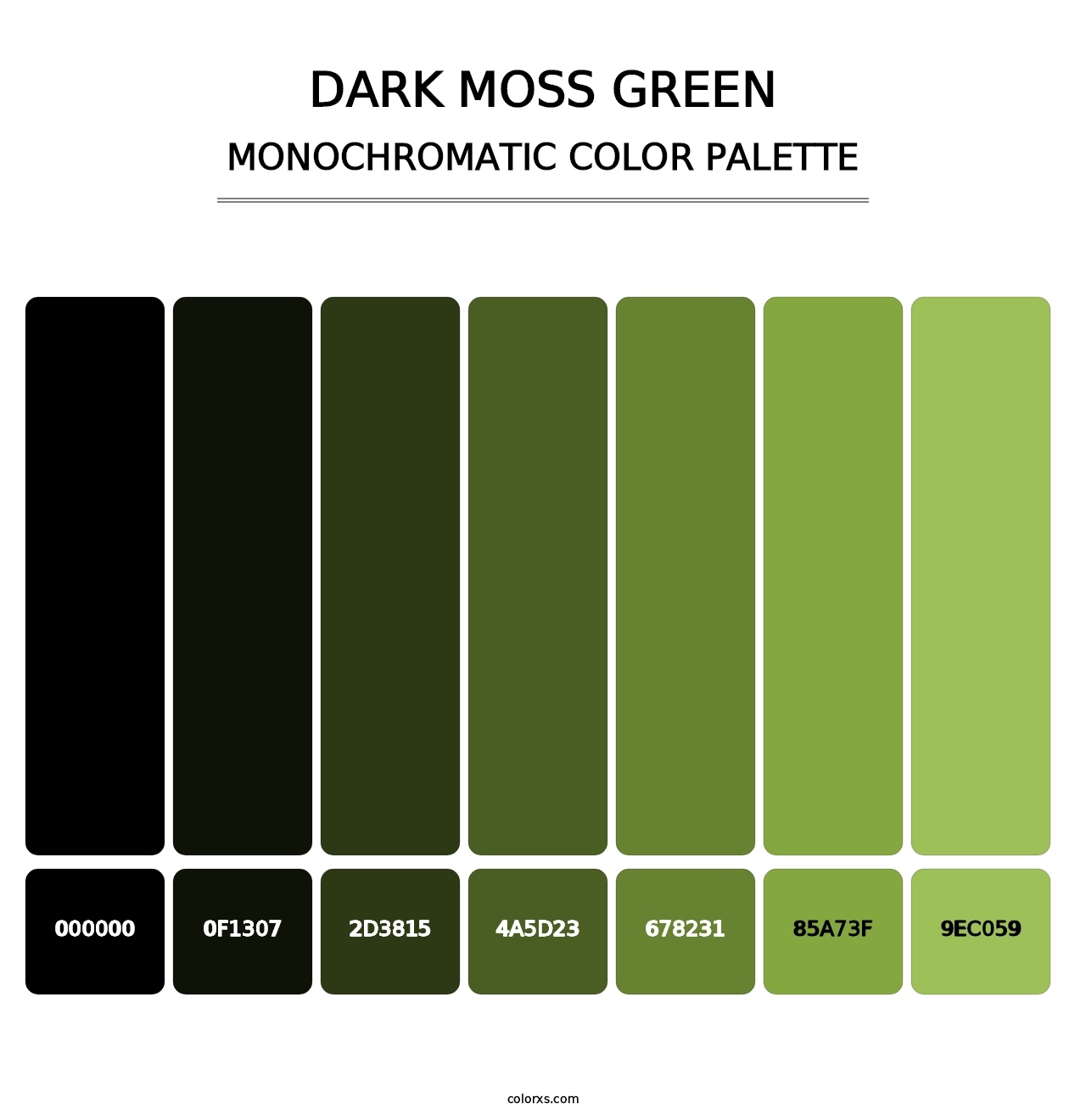 Dark Moss Green - Monochromatic Color Palette