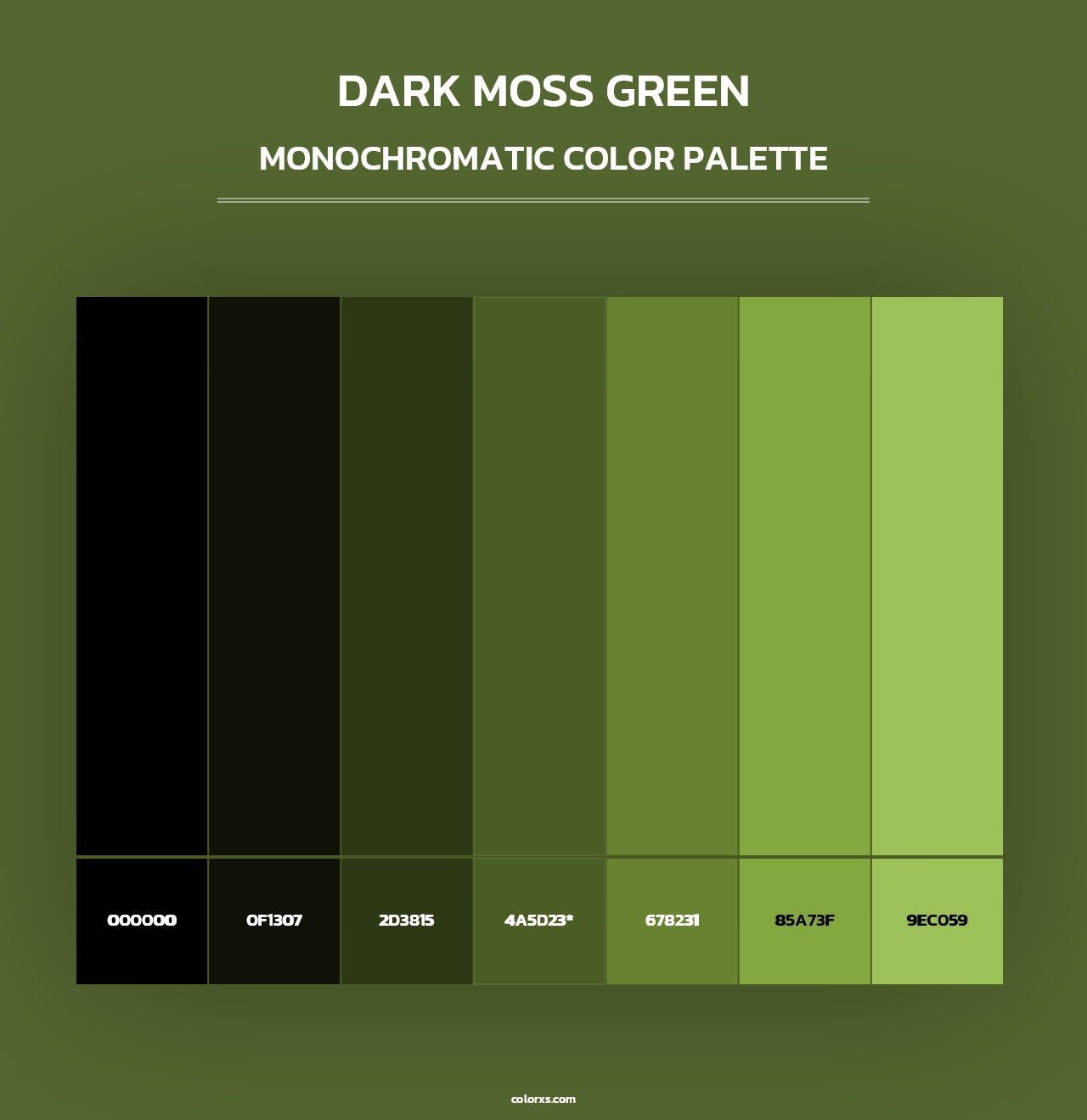 Dark Moss Green - Monochromatic Color Palette