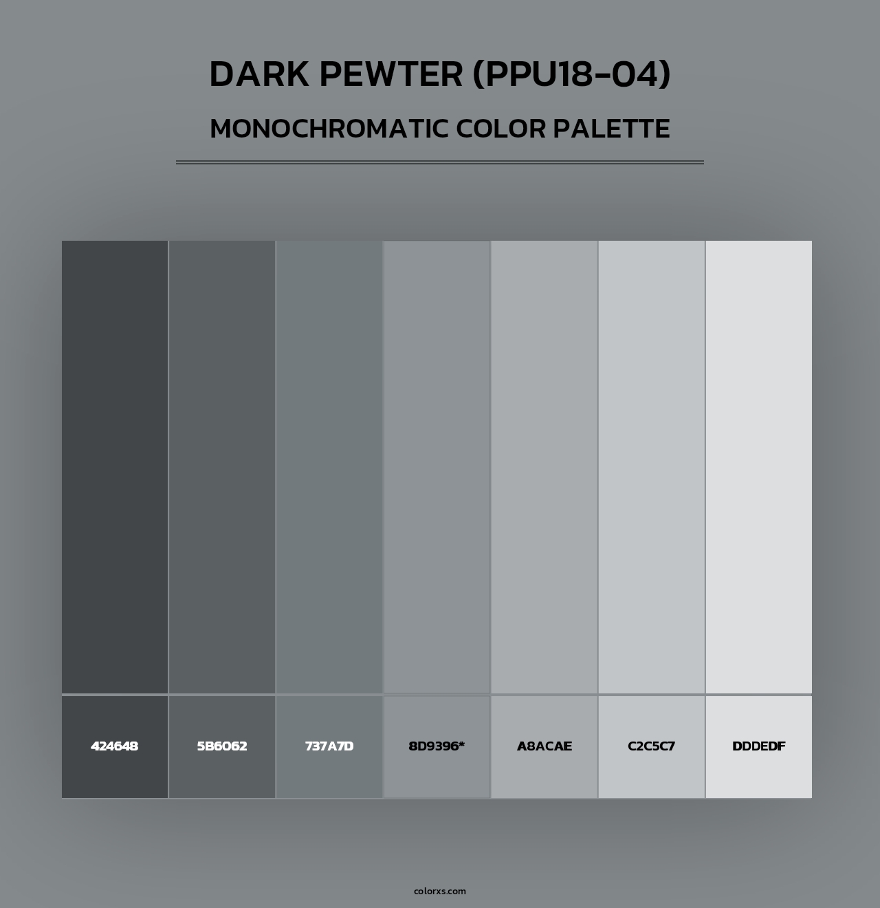 Dark Pewter (PPU18-04) - Monochromatic Color Palette