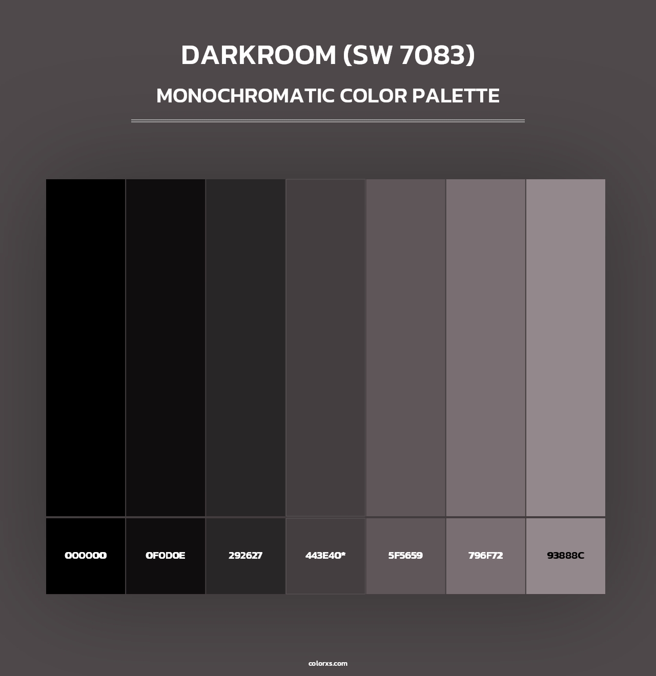 Darkroom (SW 7083) - Monochromatic Color Palette