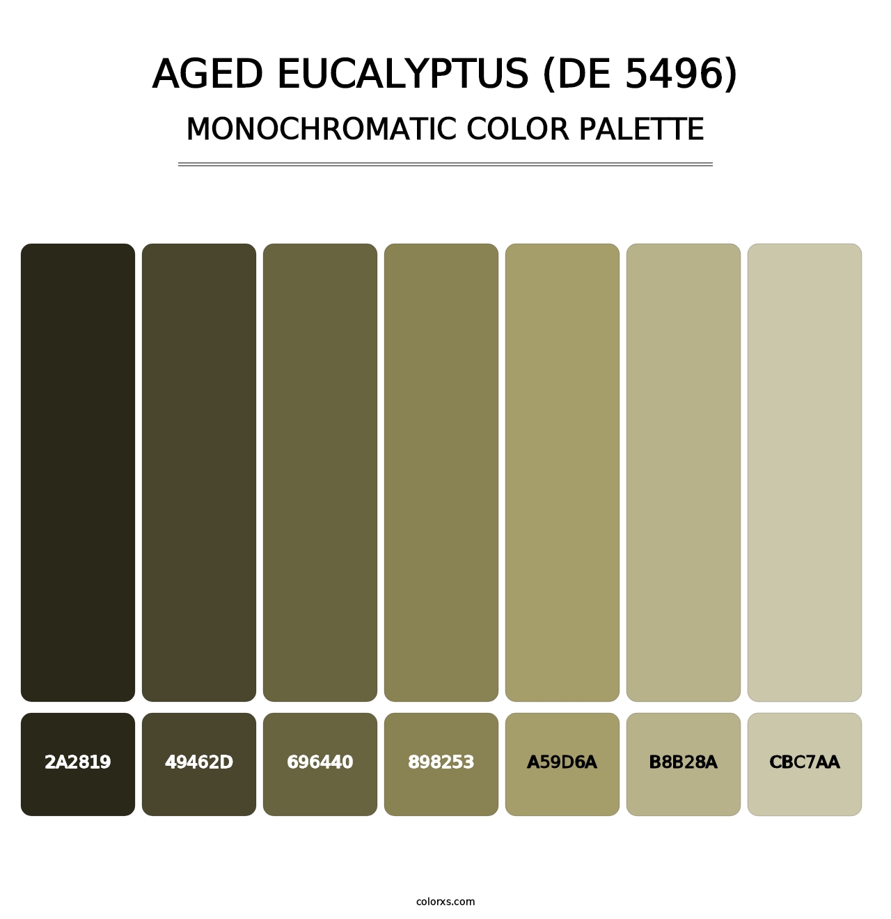 Aged Eucalyptus (DE 5496) - Monochromatic Color Palette