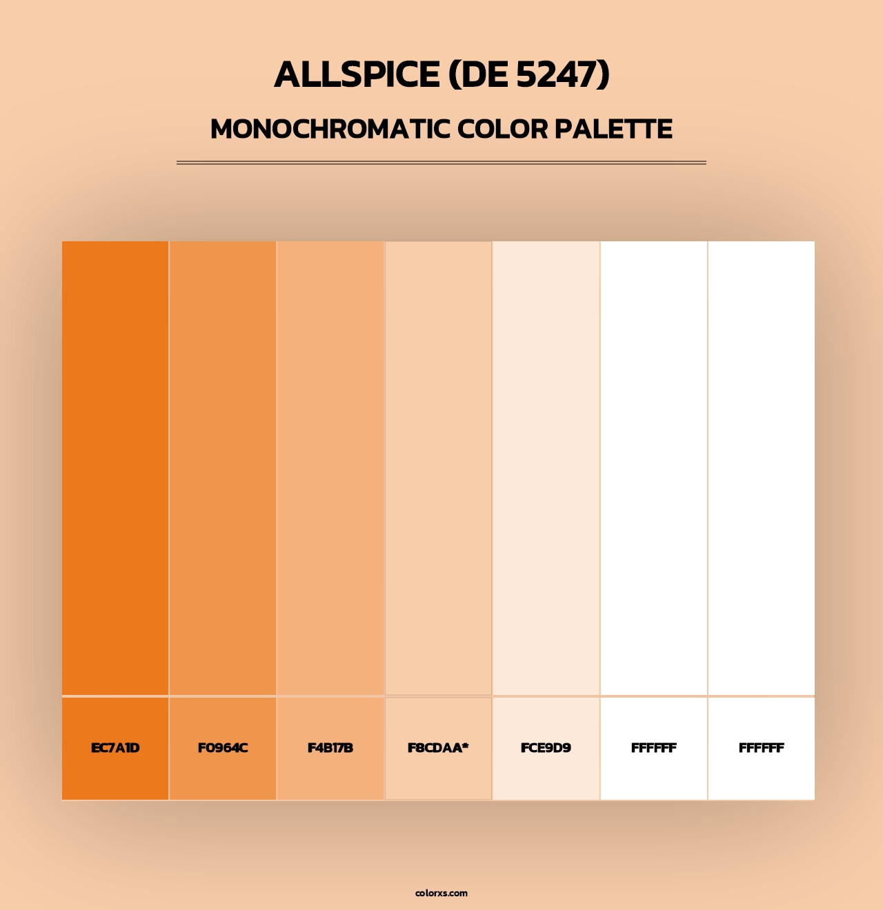 Allspice (DE 5247) - Monochromatic Color Palette