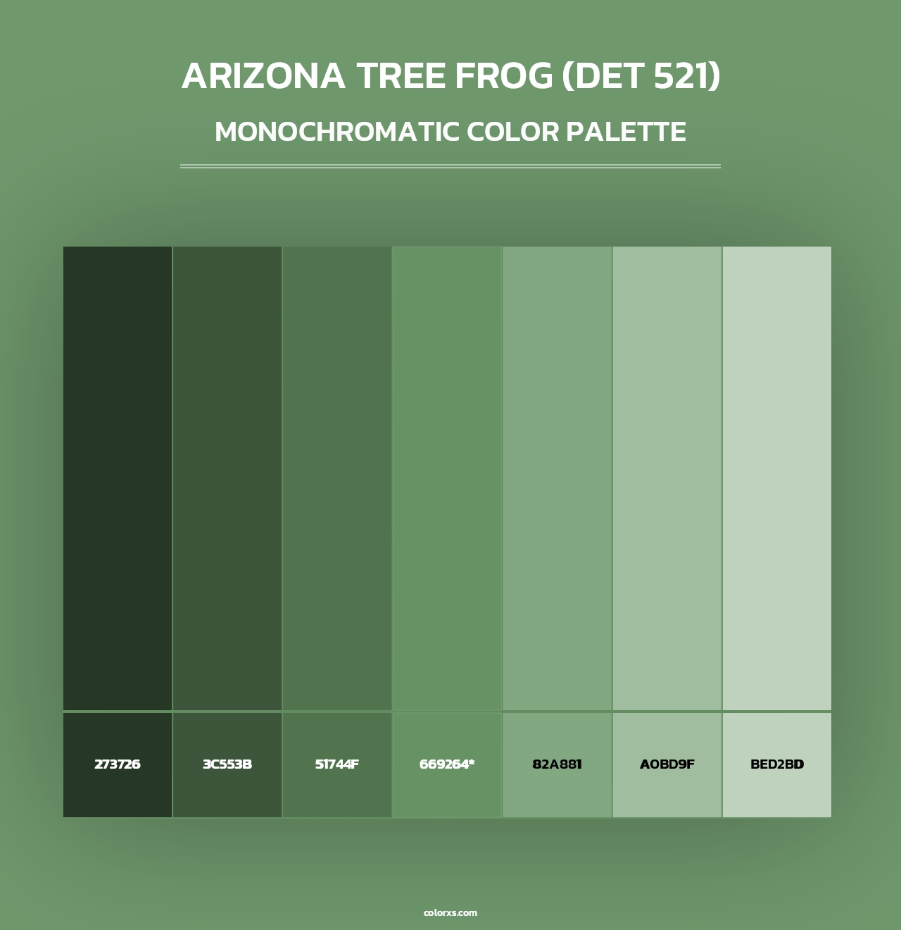 Arizona Tree Frog (DET 521) - Monochromatic Color Palette