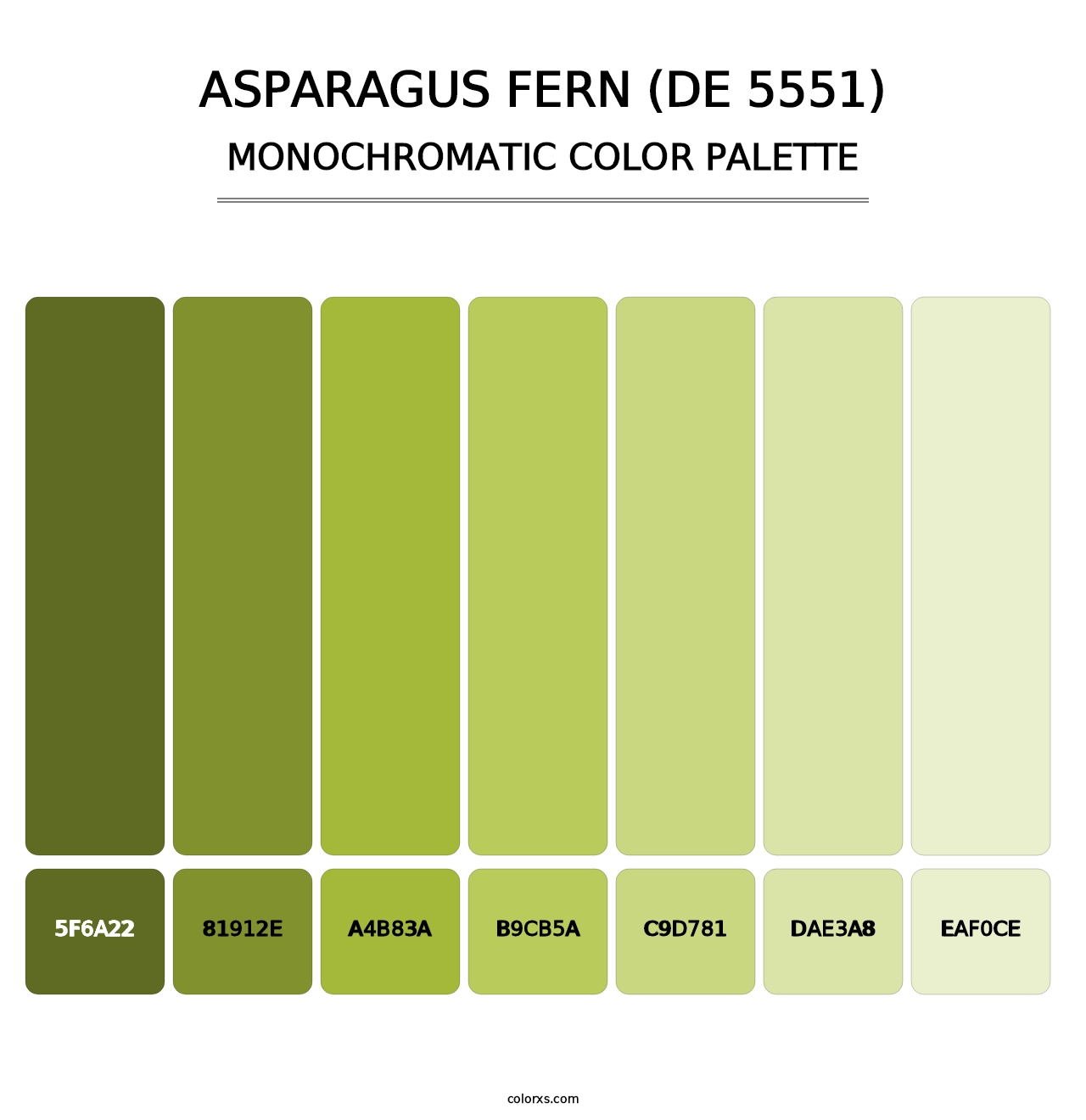 Asparagus Fern (DE 5551) - Monochromatic Color Palette