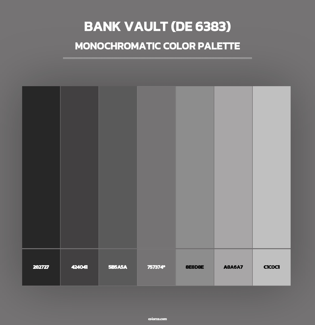 Bank Vault (DE 6383) - Monochromatic Color Palette