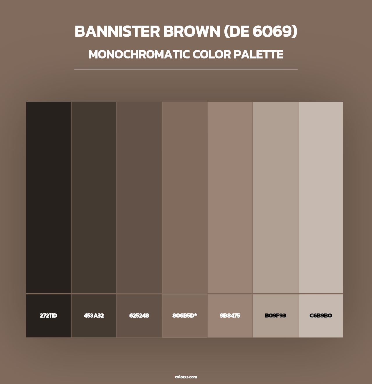 Bannister Brown (DE 6069) - Monochromatic Color Palette