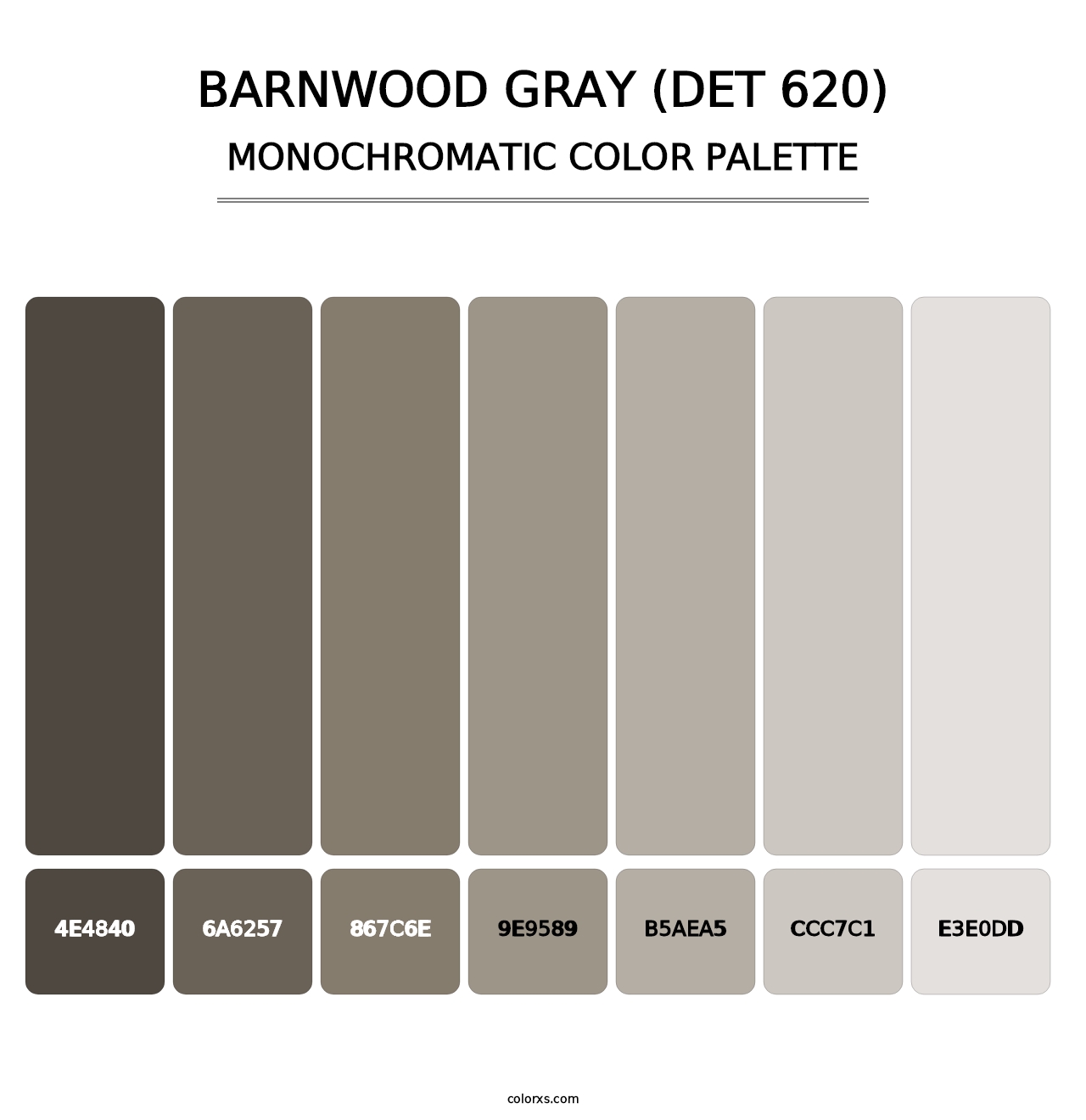 Barnwood Gray (DET 620) - Monochromatic Color Palette