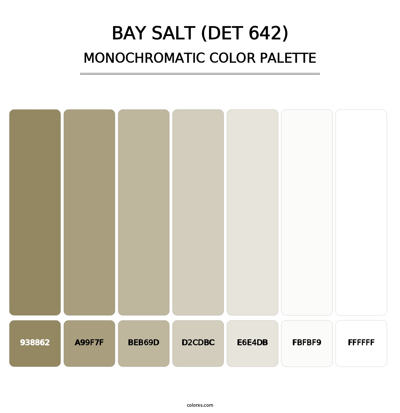 Bay Salt (DET 642) - Monochromatic Color Palette