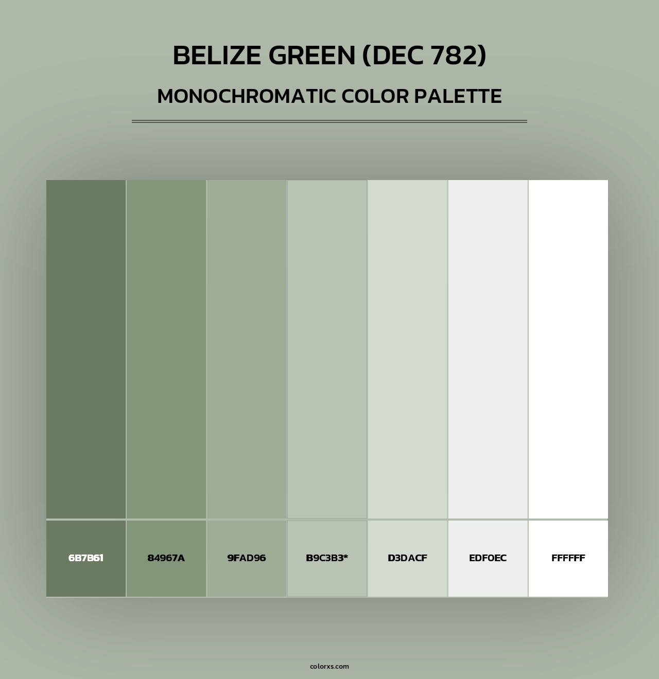 Belize Green (DEC 782) - Monochromatic Color Palette