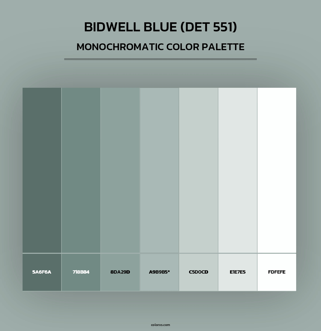 Bidwell Blue (DET 551) - Monochromatic Color Palette