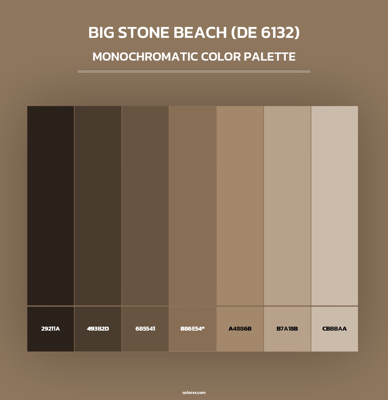 Big Stone Beach (DE 6132) - Monochromatic Color Palette