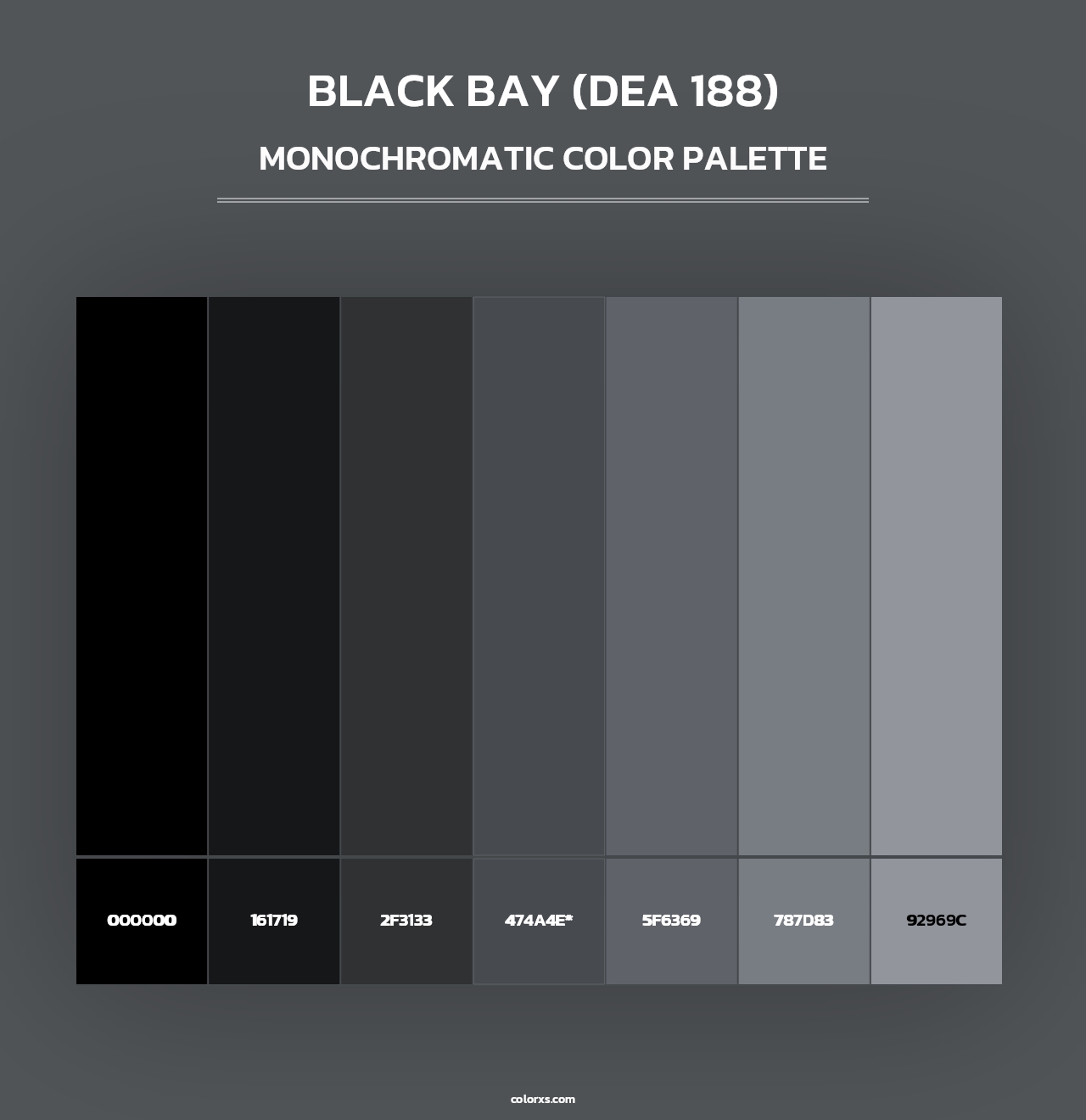 Black Bay (DEA 188) - Monochromatic Color Palette