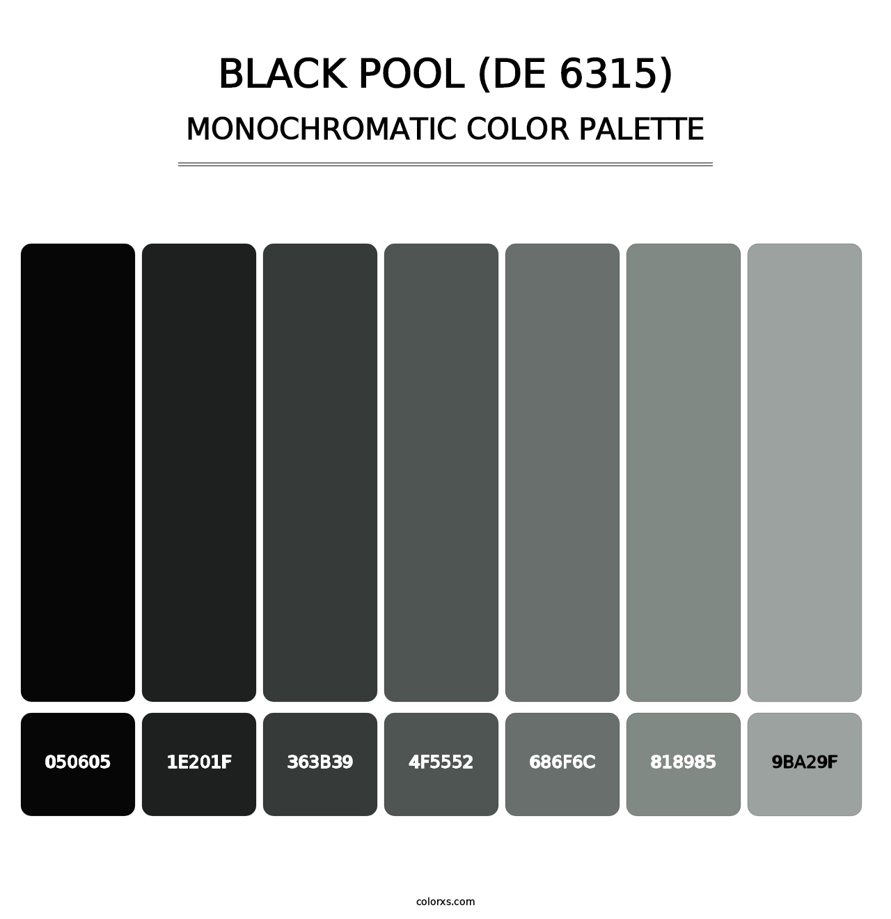 Black Pool (DE 6315) - Monochromatic Color Palette