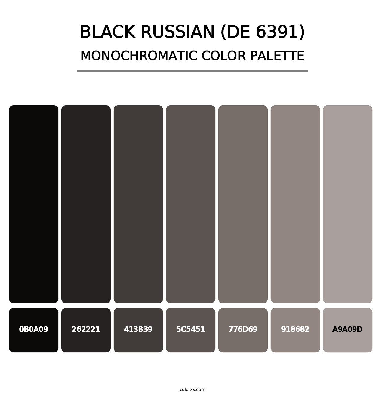 Black Russian (DE 6391) - Monochromatic Color Palette