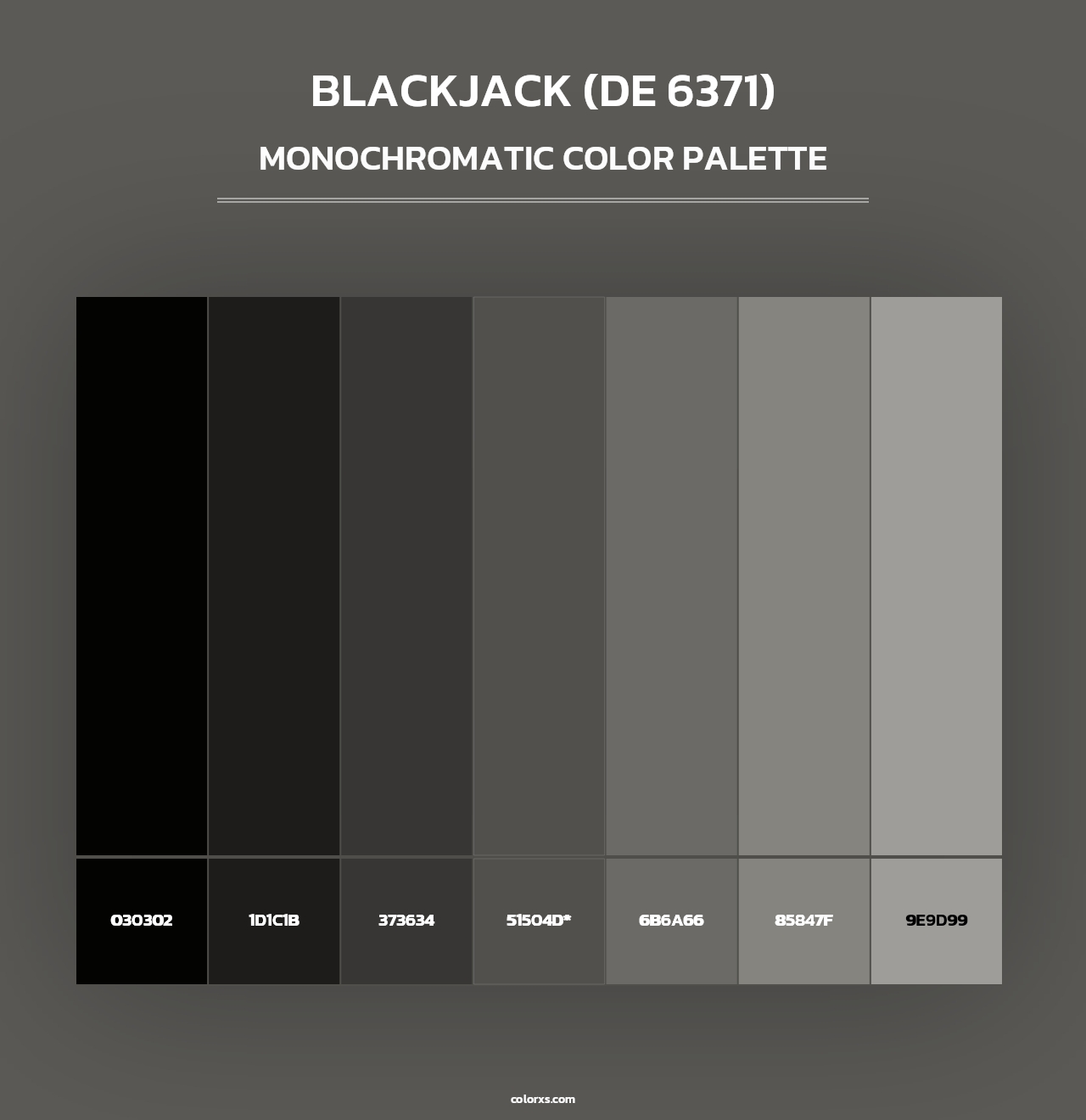 Blackjack (DE 6371) - Monochromatic Color Palette