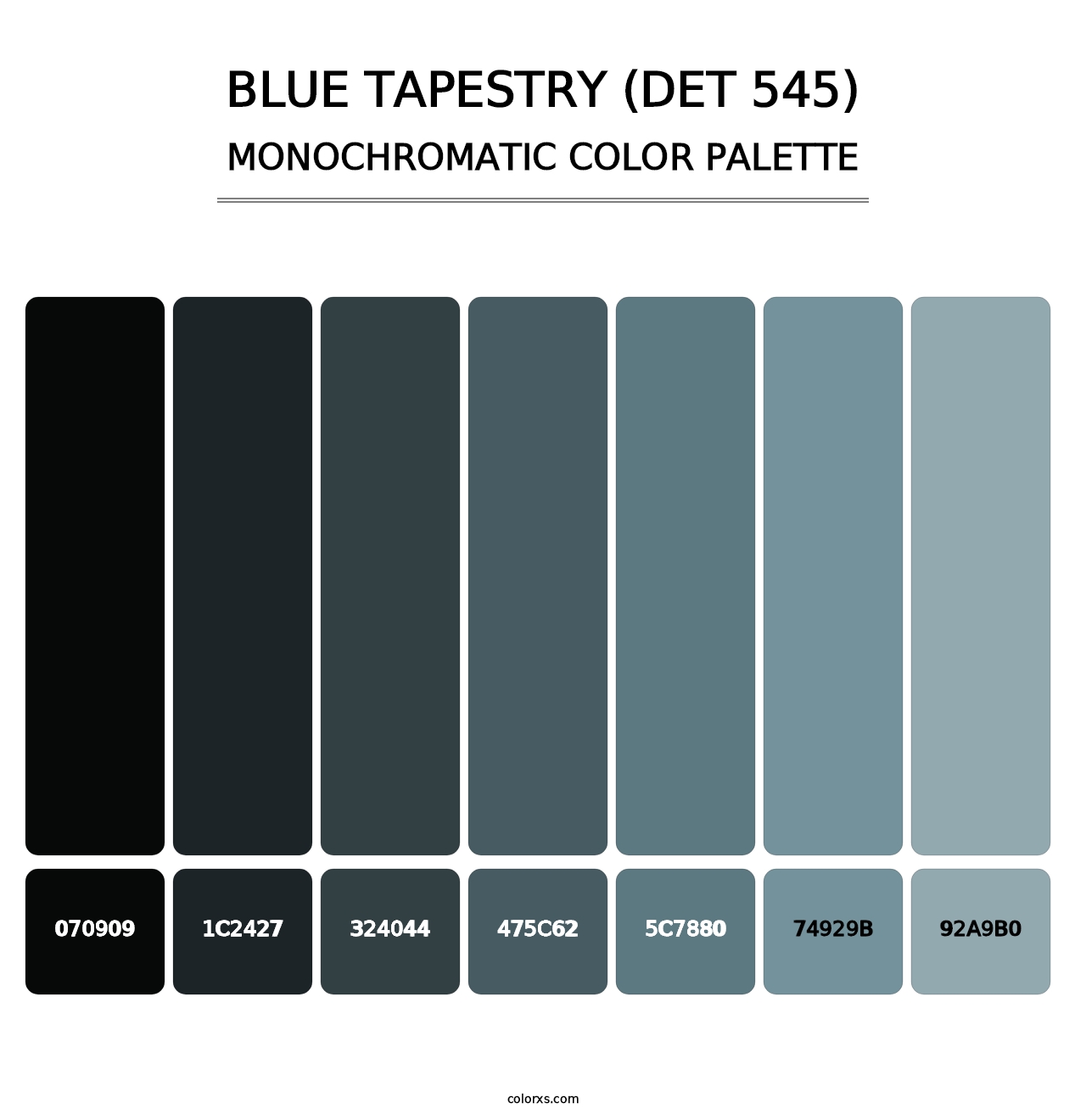 Blue Tapestry (DET 545) - Monochromatic Color Palette