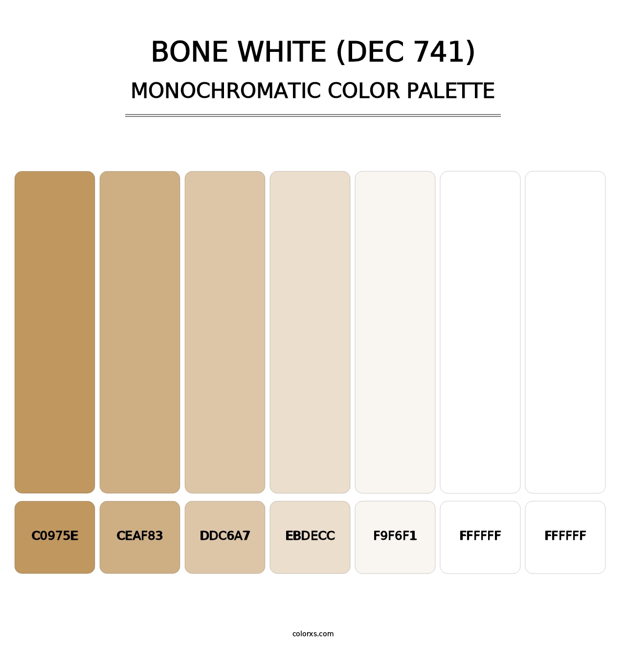 Bone White (DEC 741) - Monochromatic Color Palette