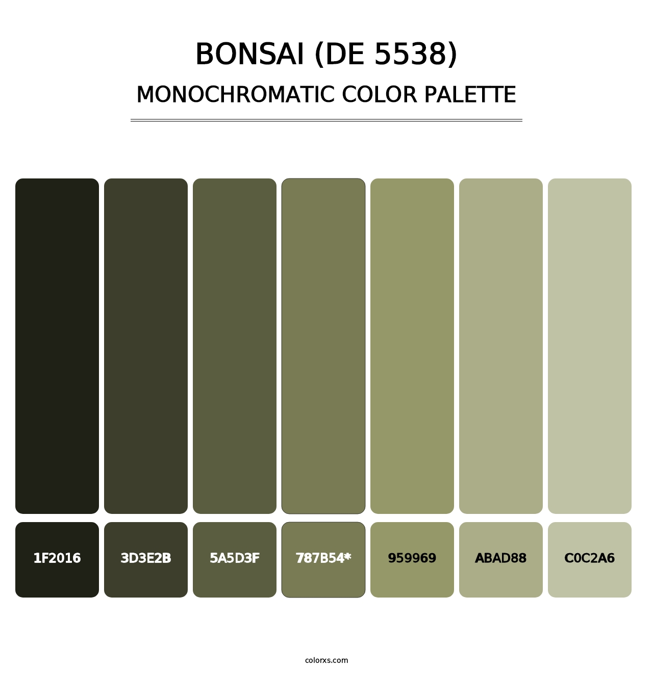 Bonsai (DE 5538) - Monochromatic Color Palette