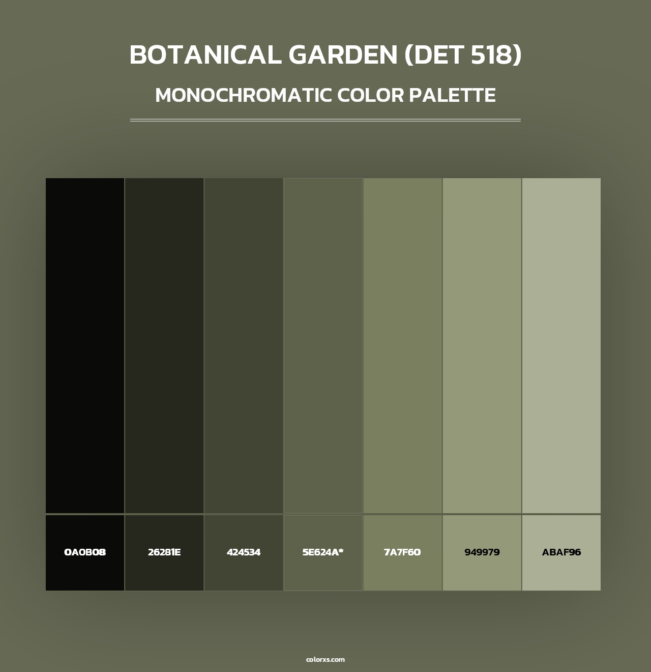 Botanical Garden (DET 518) - Monochromatic Color Palette