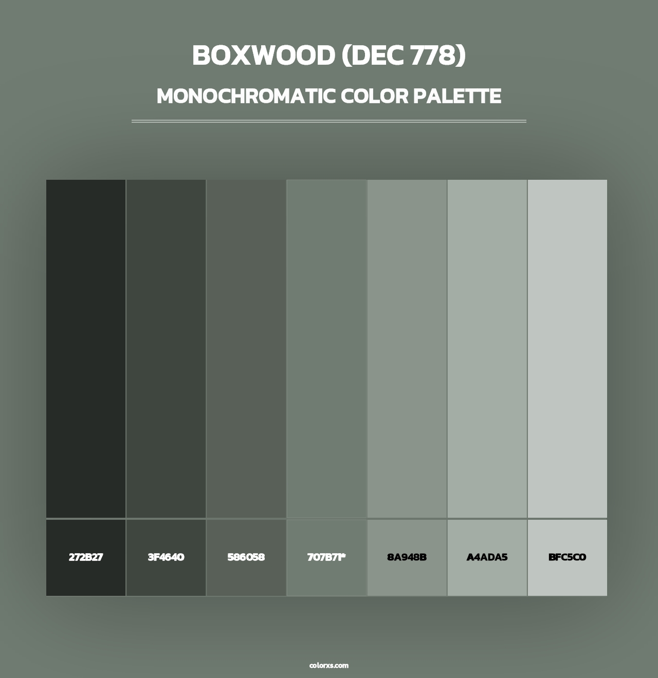 Boxwood (DEC 778) - Monochromatic Color Palette