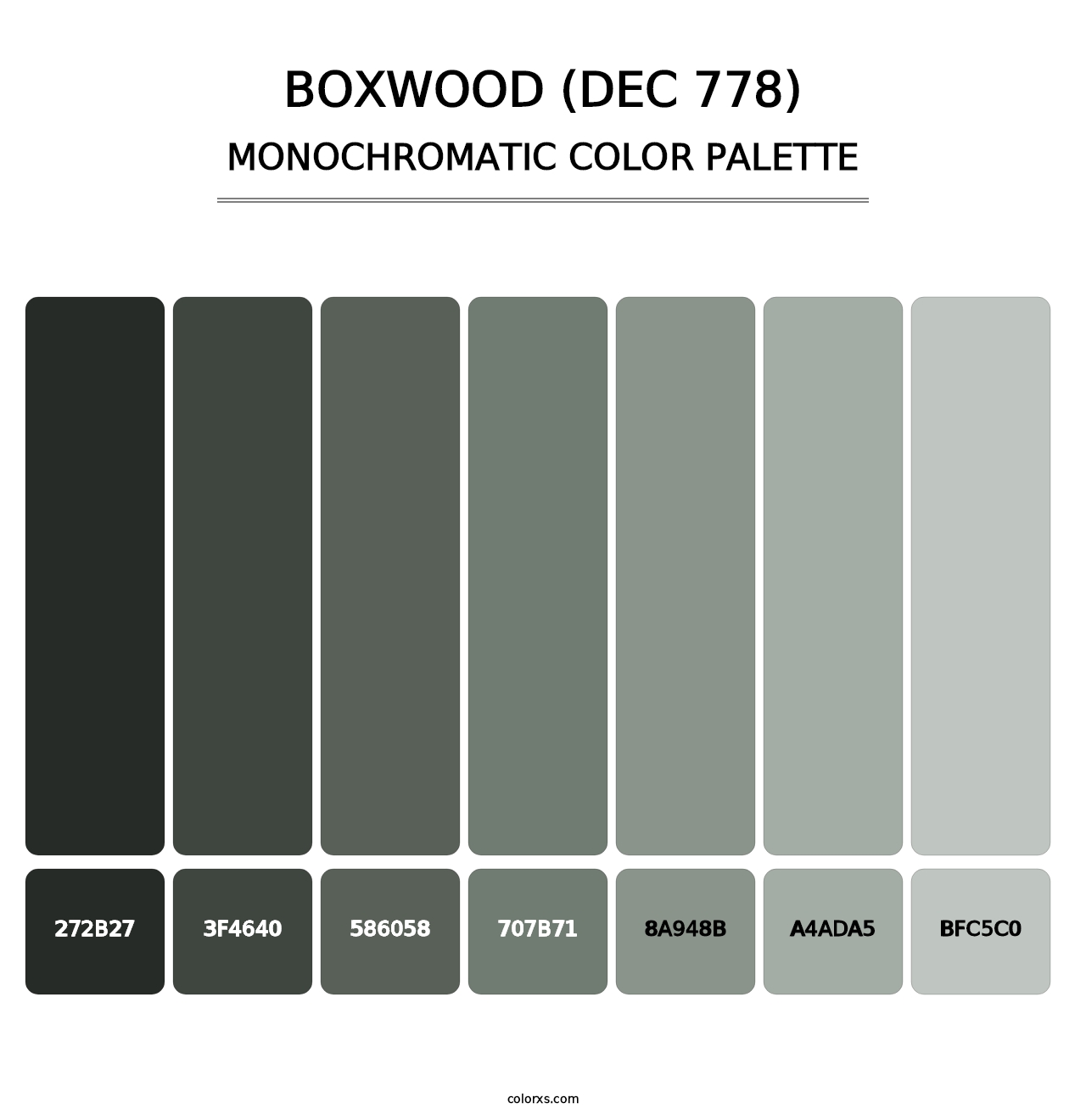 Boxwood (DEC 778) - Monochromatic Color Palette