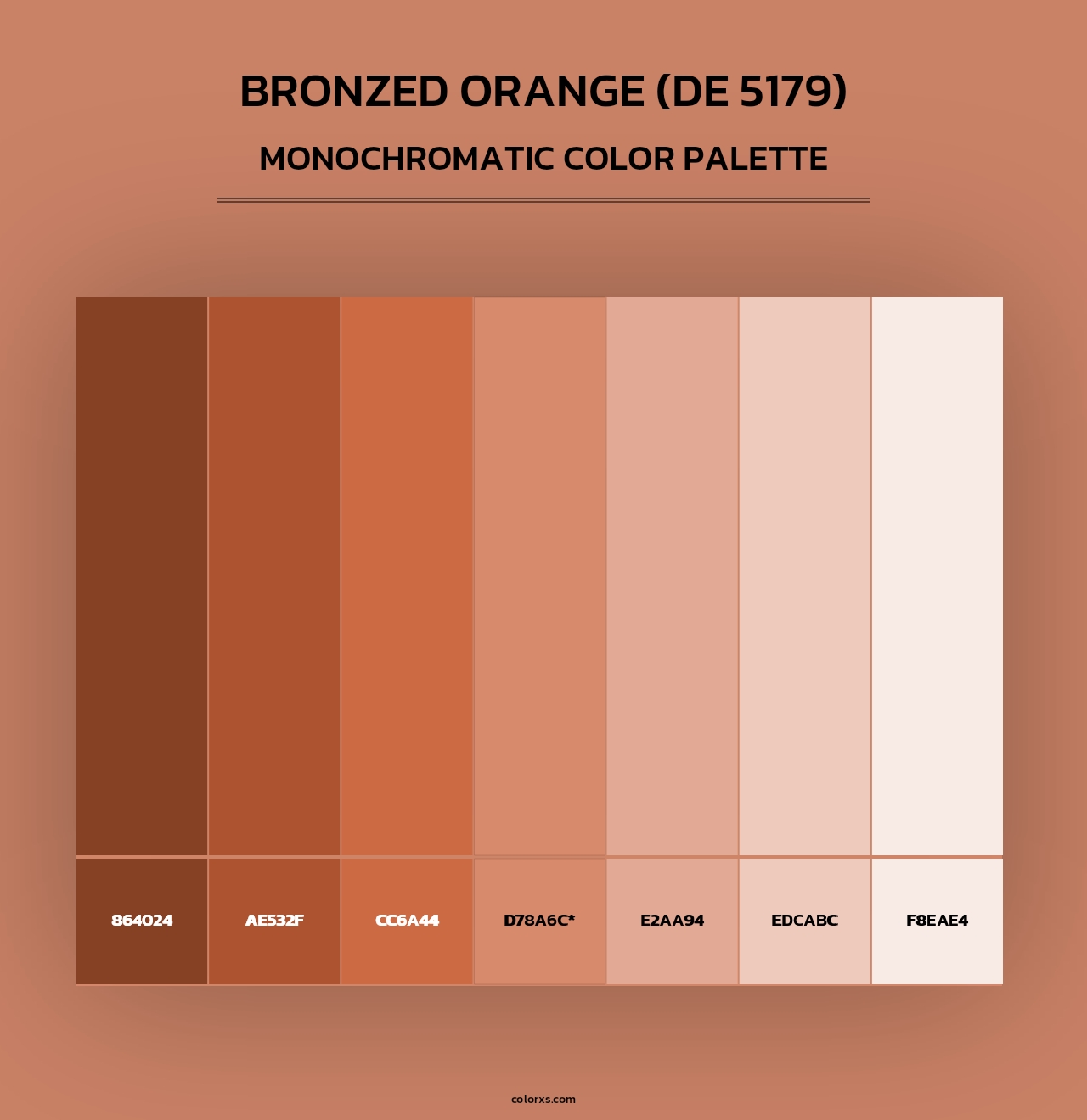 Bronzed Orange (DE 5179) - Monochromatic Color Palette
