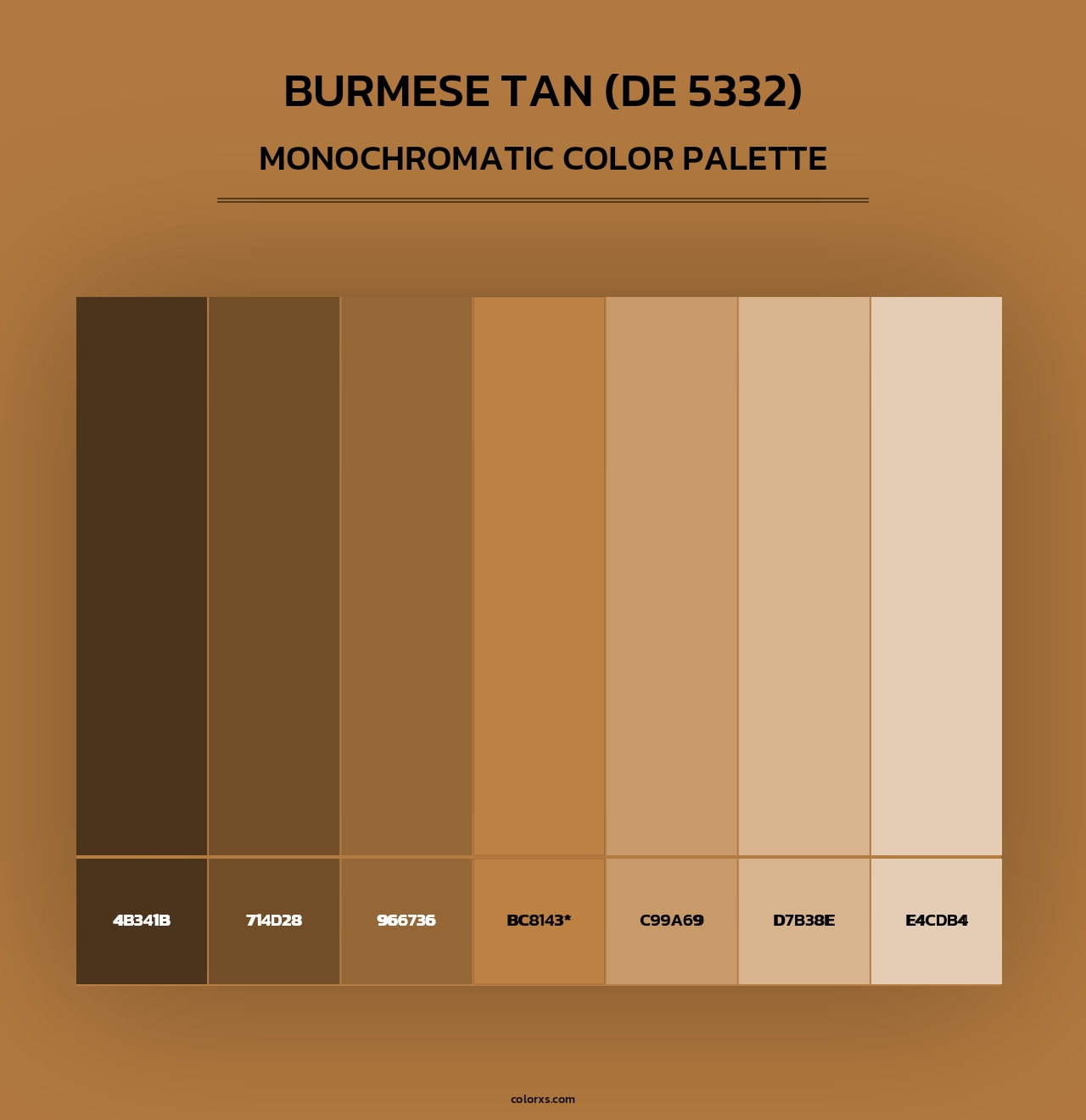 Burmese Tan (DE 5332) - Monochromatic Color Palette