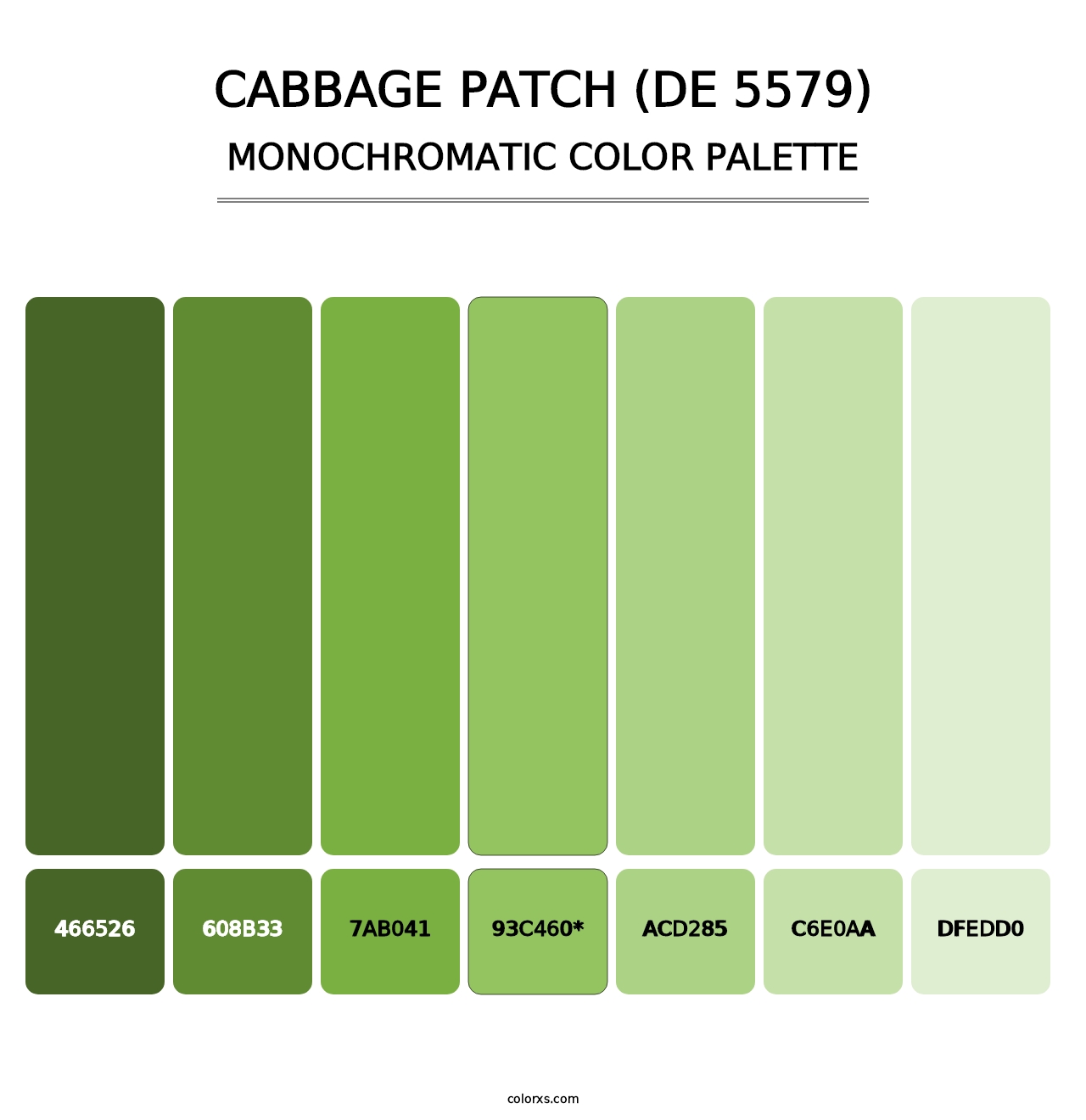 Cabbage Patch (DE 5579) - Monochromatic Color Palette