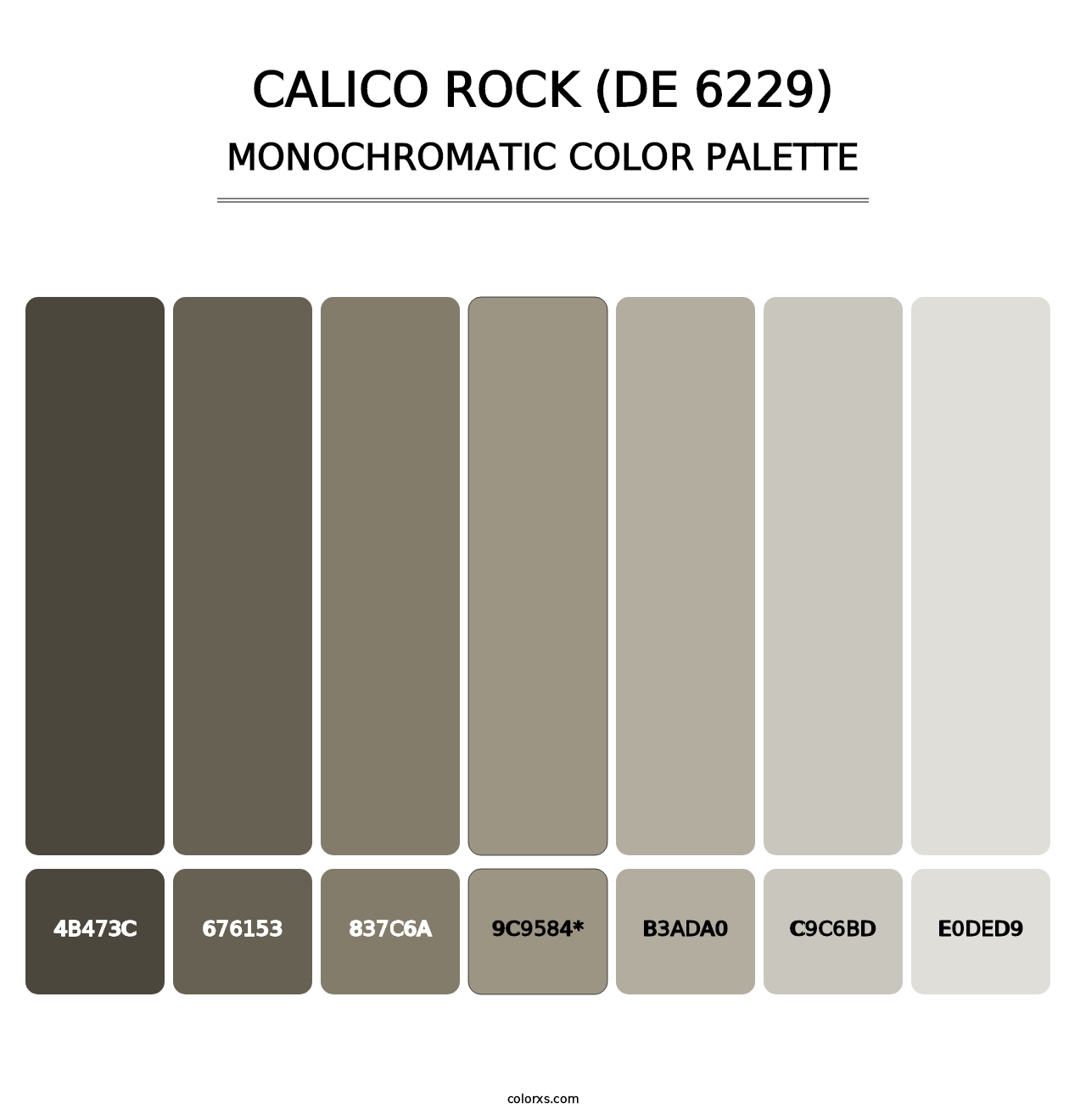 Calico Rock (DE 6229) - Monochromatic Color Palette