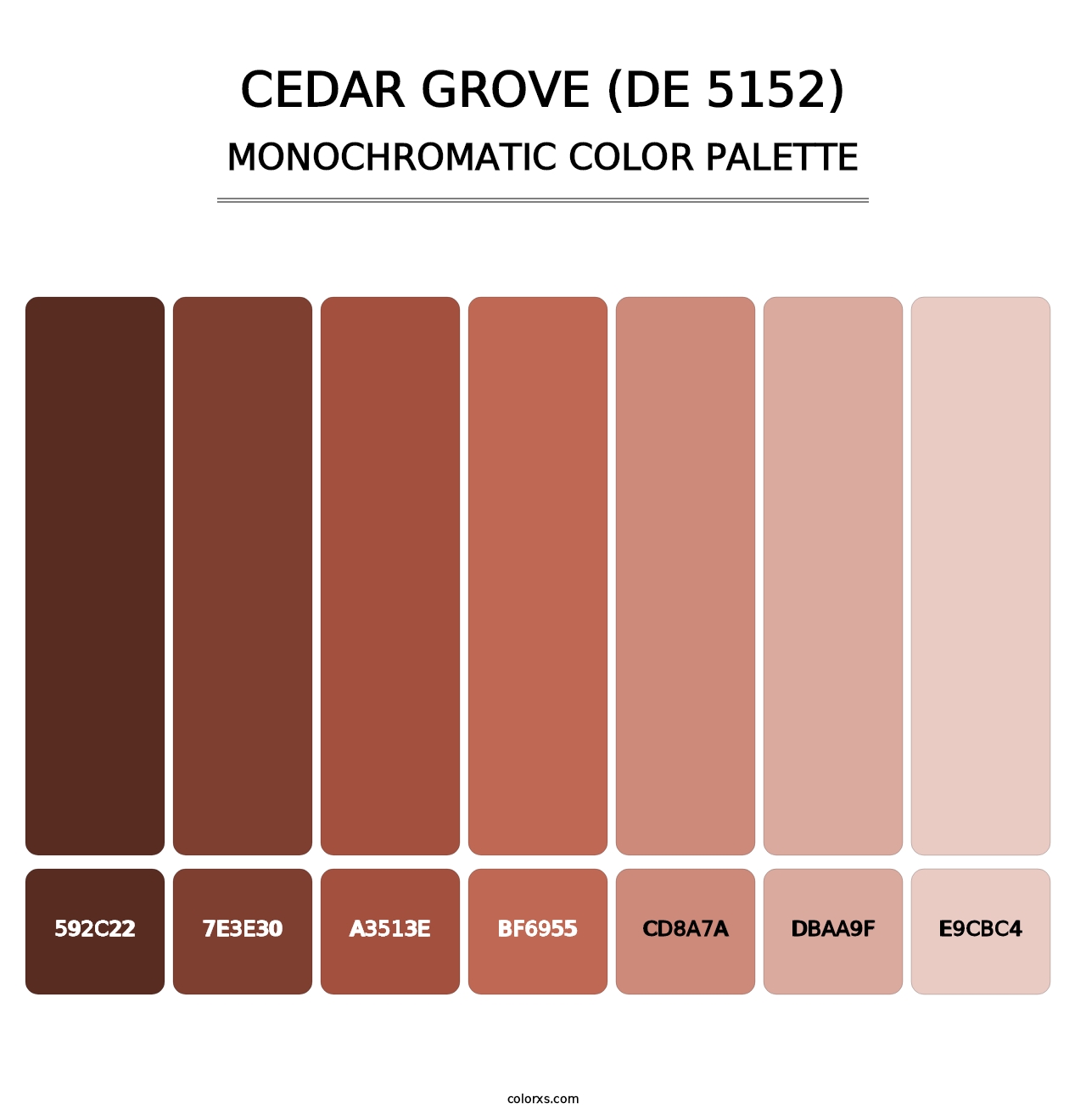 Cedar Grove (DE 5152) - Monochromatic Color Palette