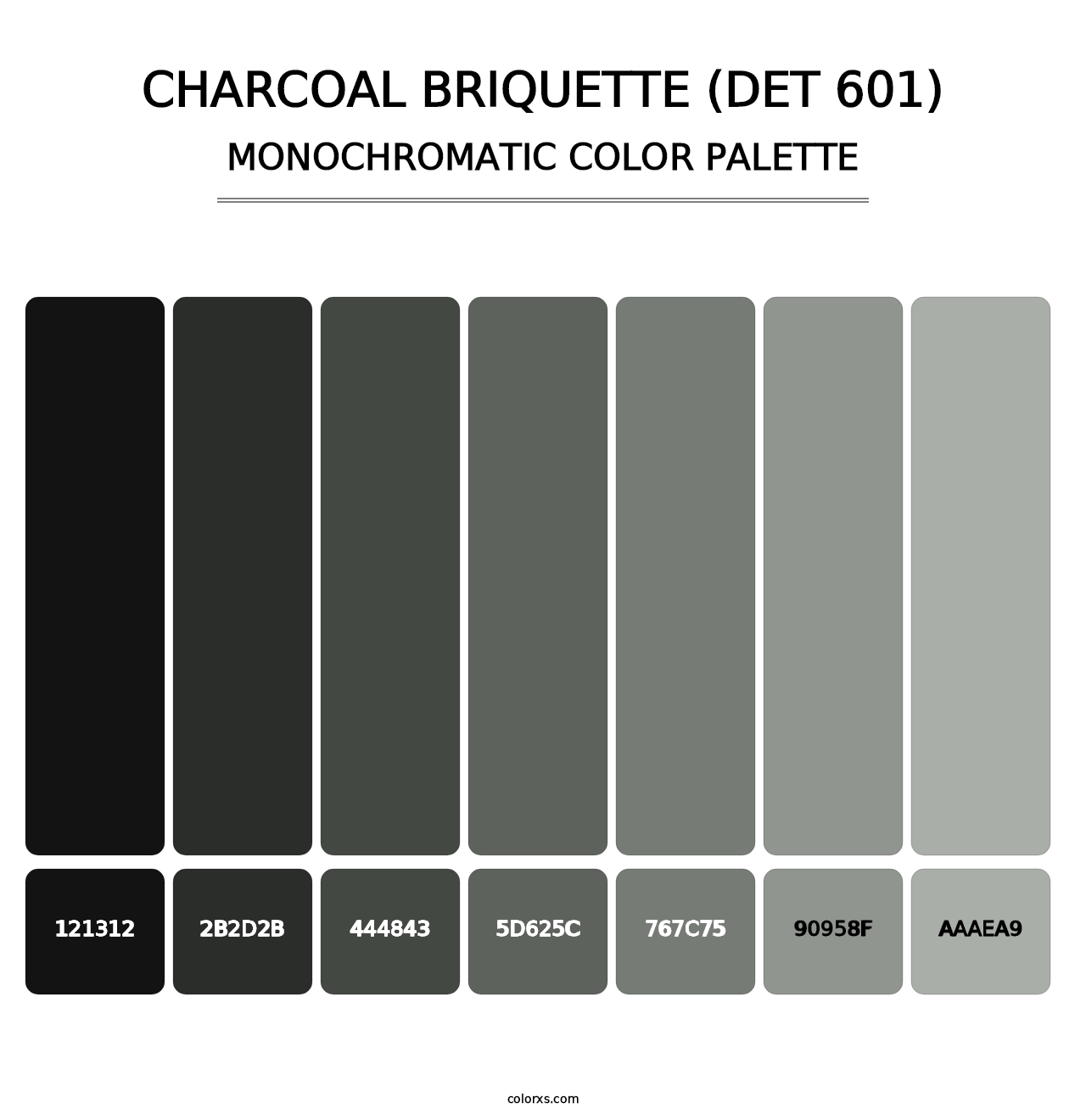Charcoal Briquette (DET 601) - Monochromatic Color Palette