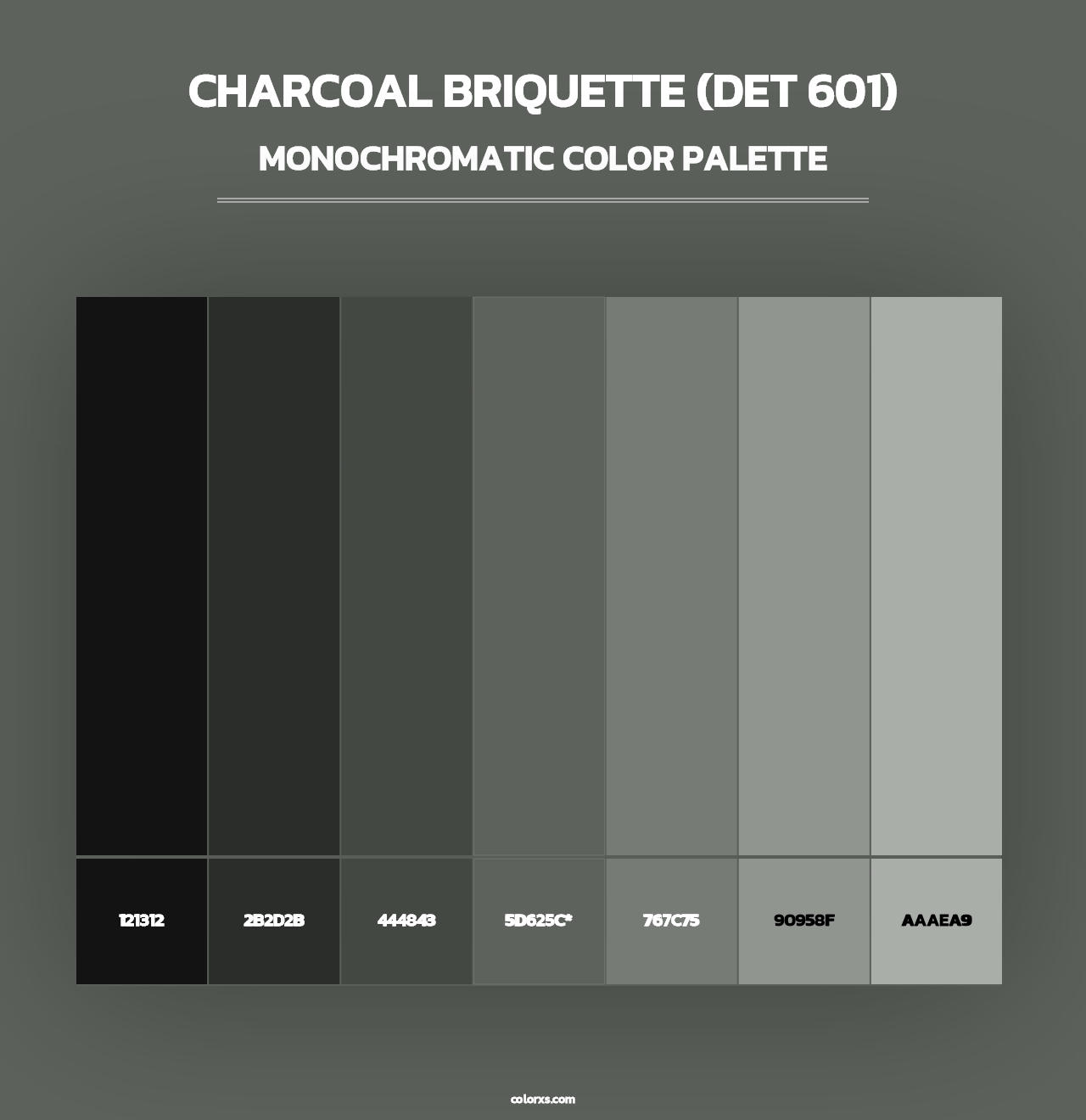 Charcoal Briquette (DET 601) - Monochromatic Color Palette