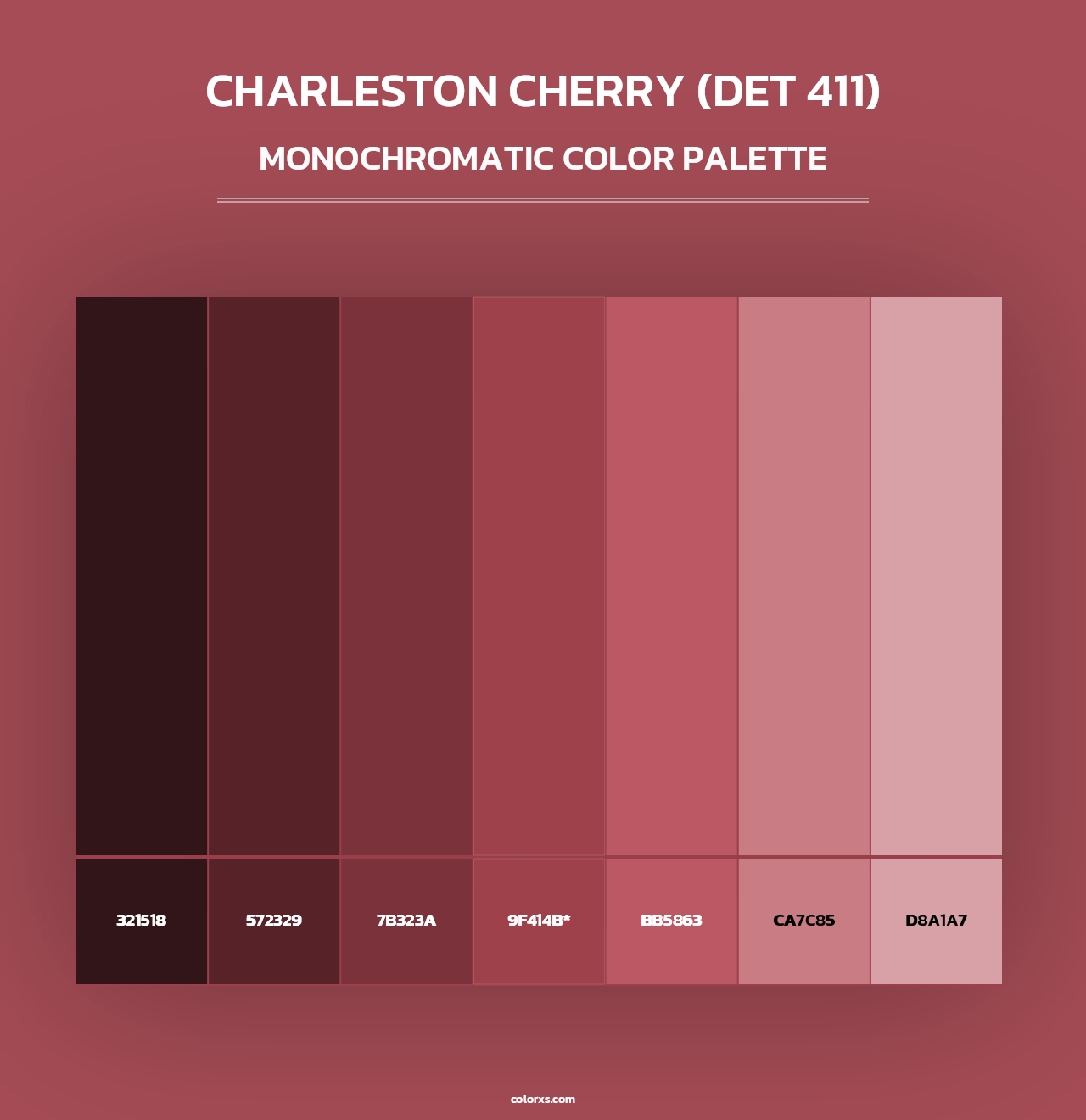 Charleston Cherry (DET 411) - Monochromatic Color Palette