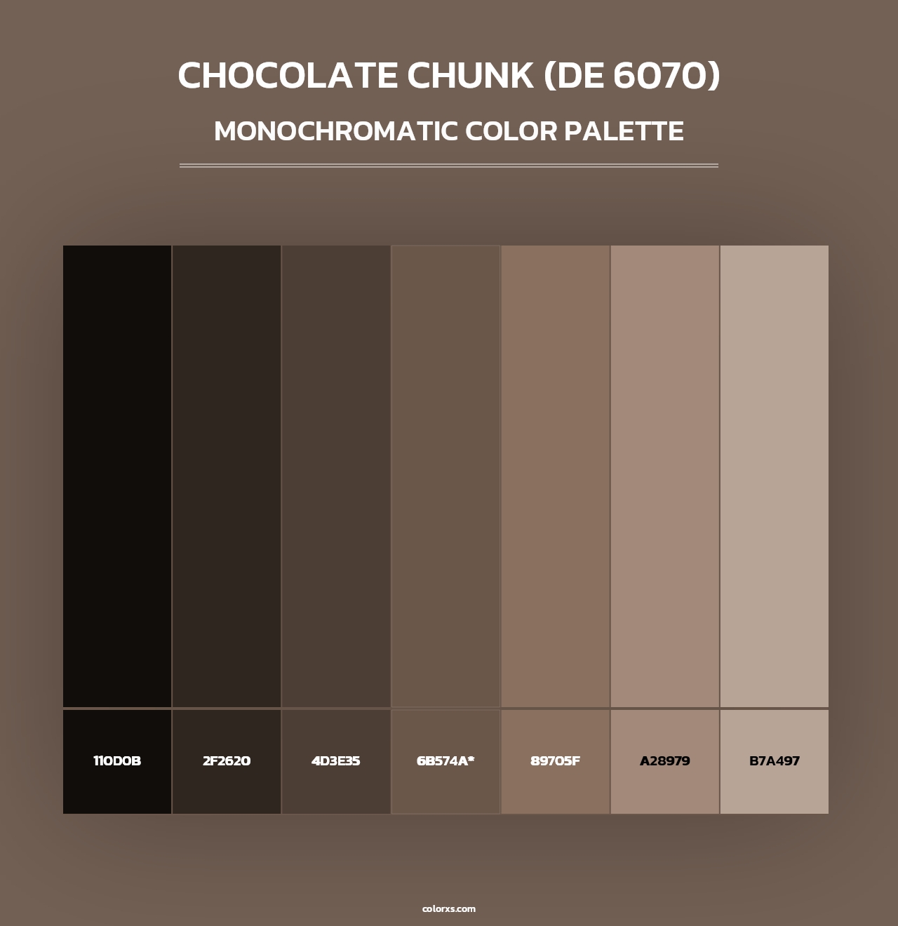 Chocolate Chunk (DE 6070) - Monochromatic Color Palette