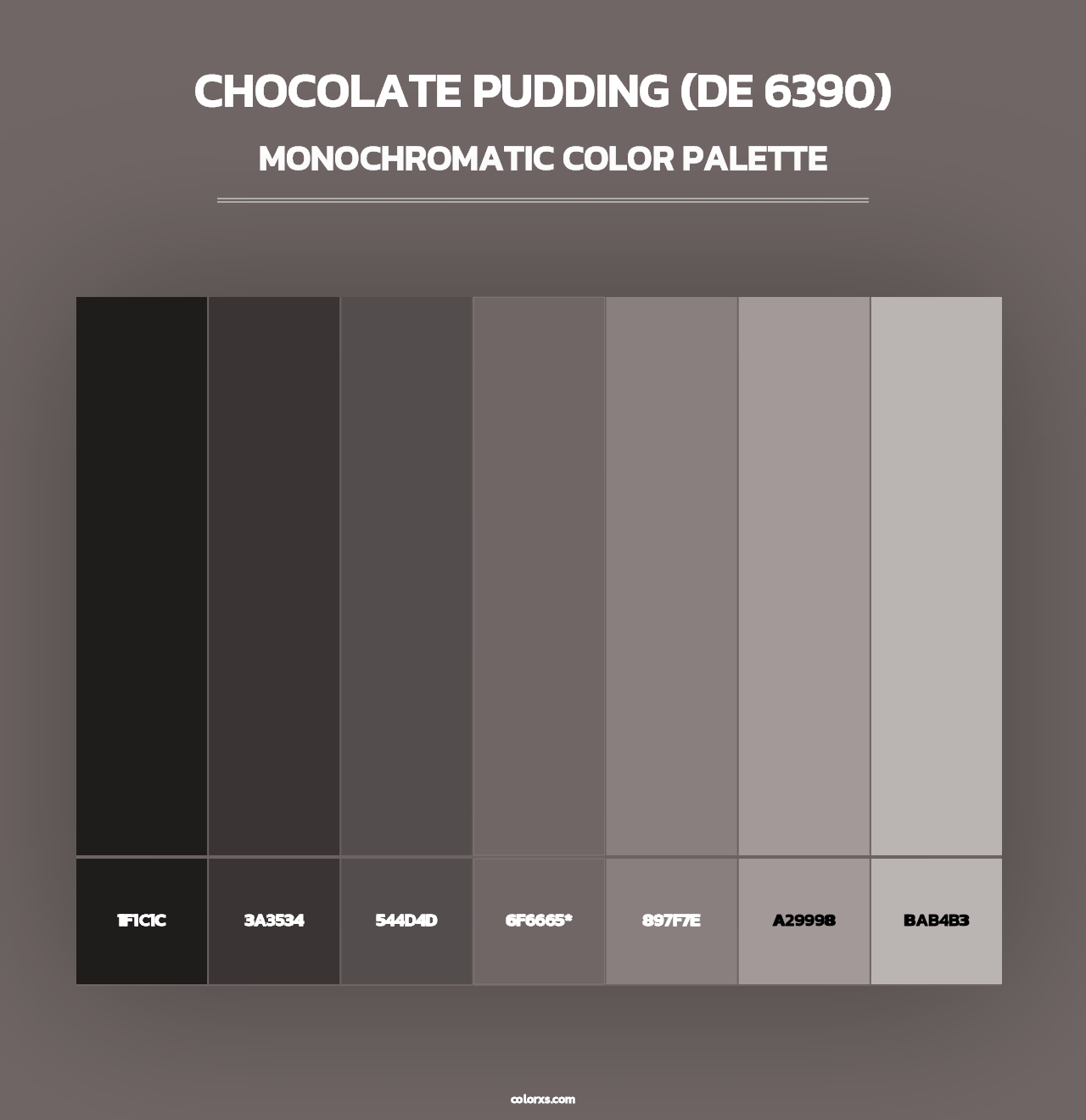 Chocolate Pudding (DE 6390) - Monochromatic Color Palette